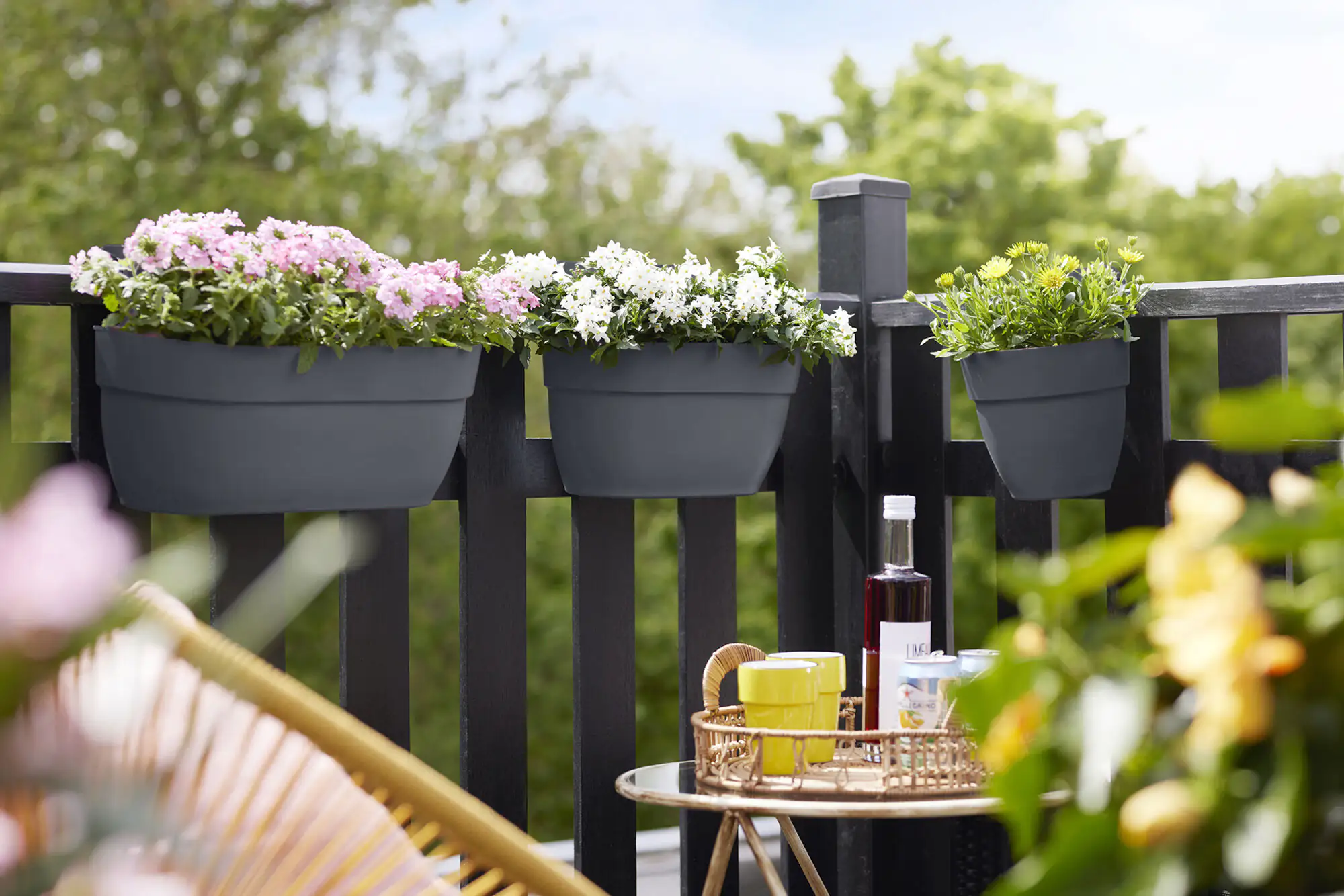 Elho Blumentopf zum Hängen Kunststoff anthrazit 36 x 24,1 x 26,5 cm Vibia Campana Easy Medium Elho Blumentopf zum Hängen Kunststoff anthrazit 36 x 24,1 x 26,5 cm Vibia Campana Easy Medium