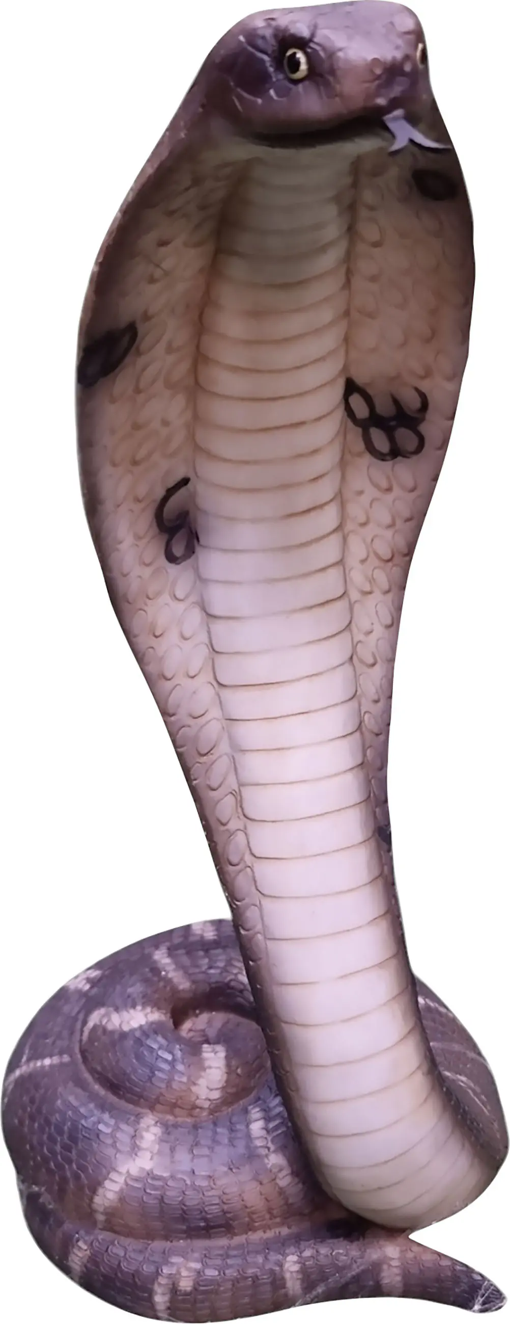 Dekofigur Kobra 31 cm bunt