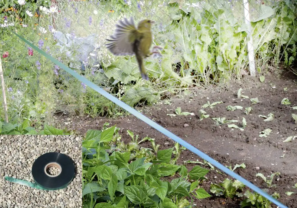 Floraworld Geräuschband Vogelschreck 30 x 1,2 cm