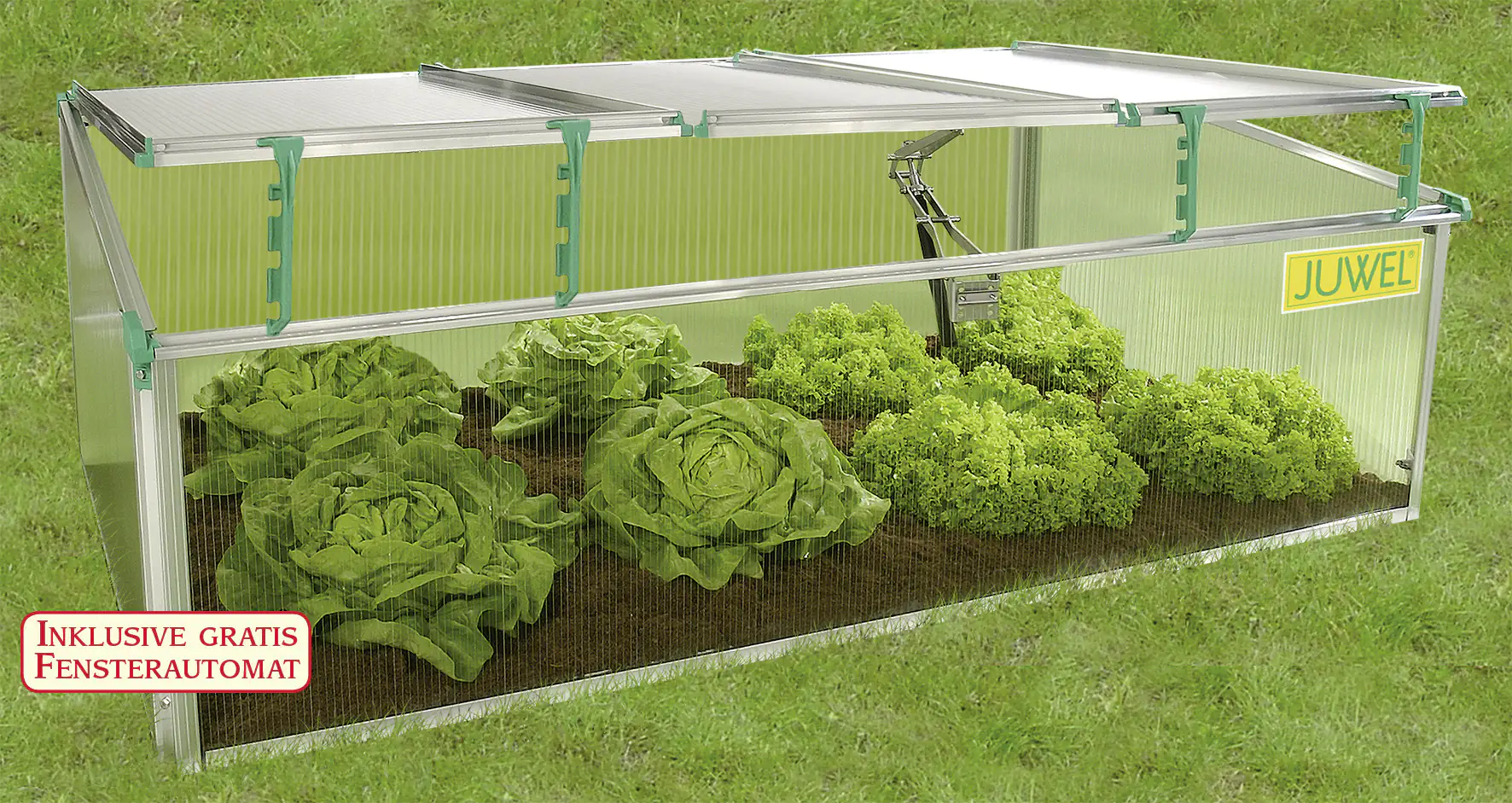 Juwel Premium Frühbeet BIOSTAR 1500 150 x 80 x 50/40 cm