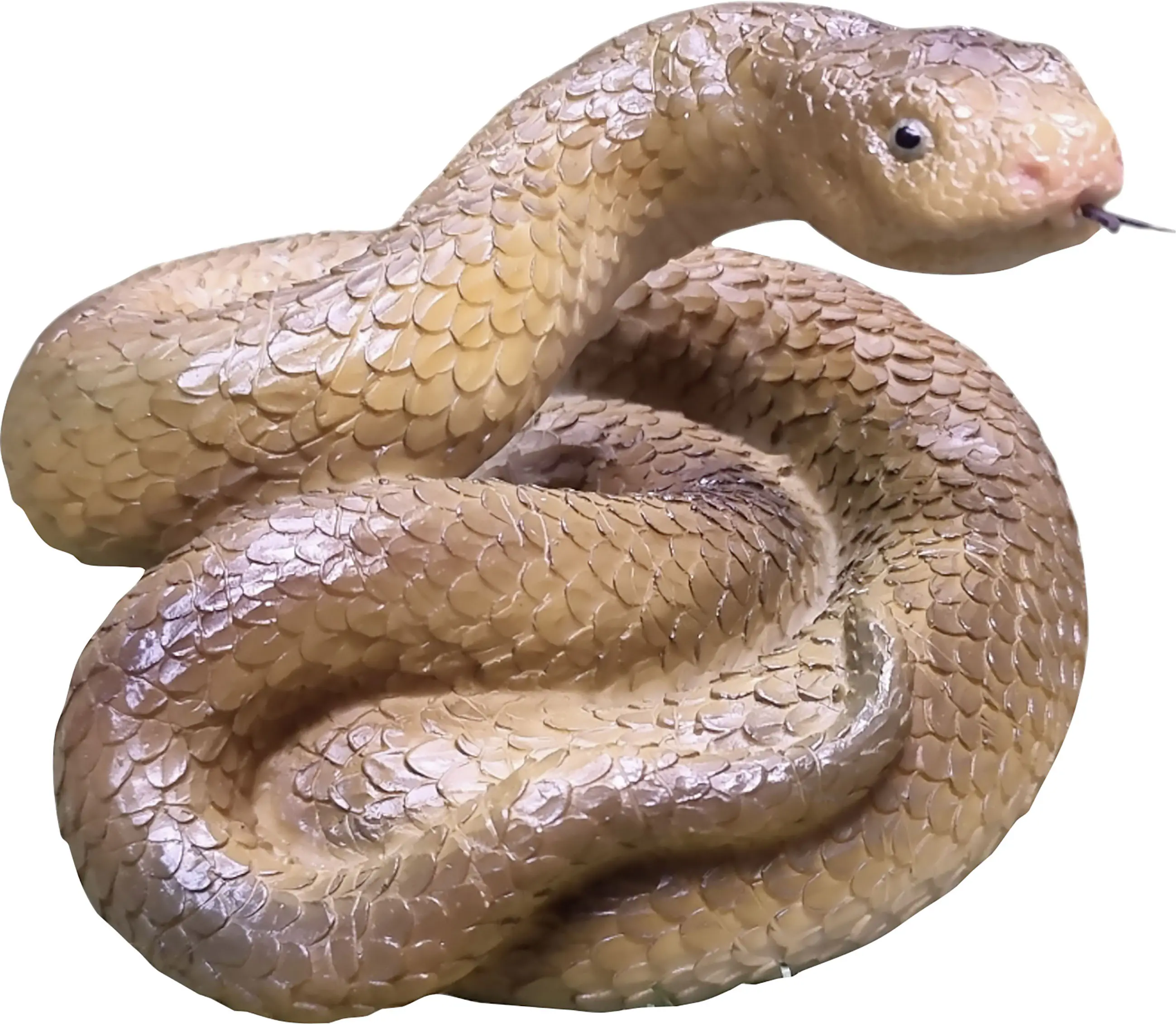 Dekofigur Phyton 17 cm bunt