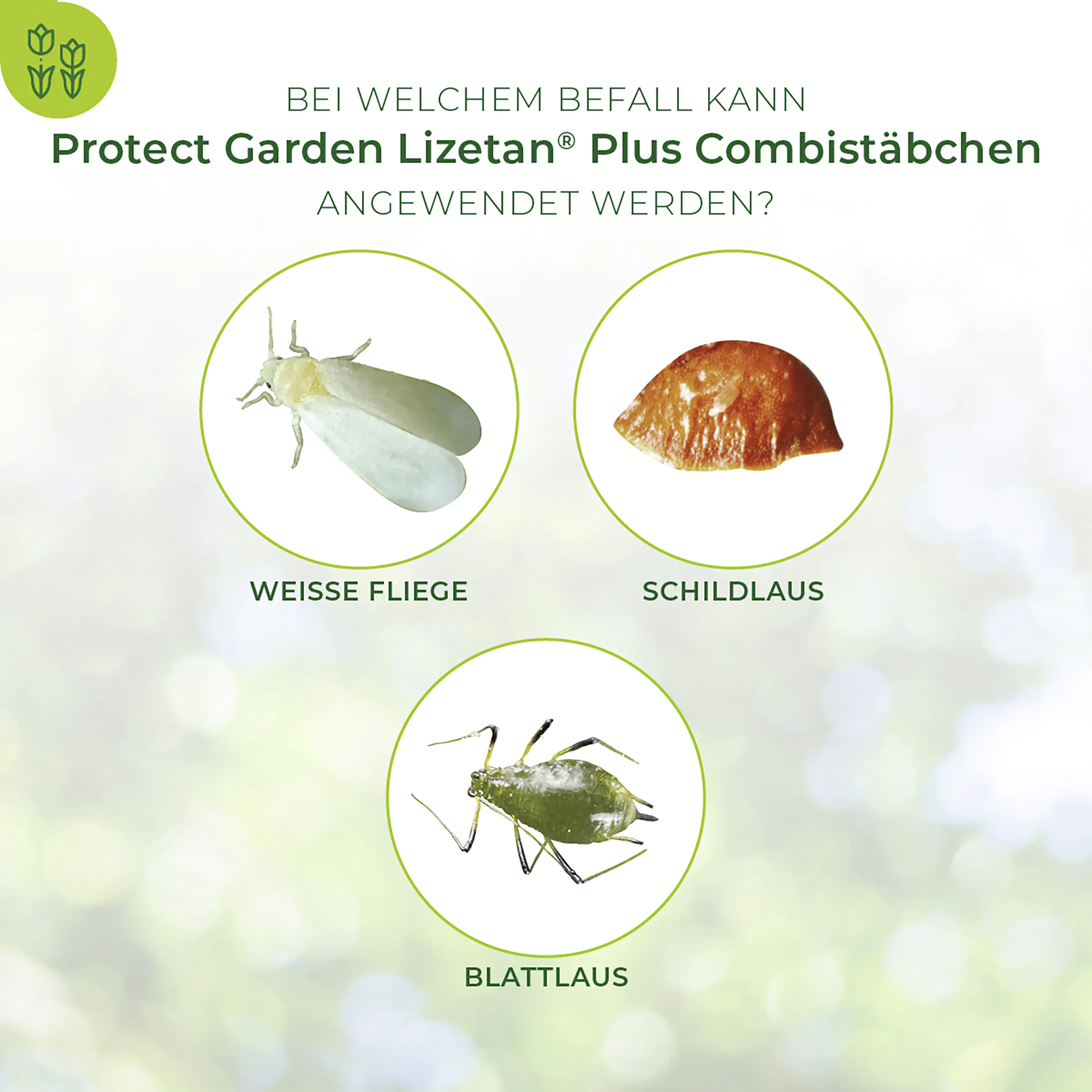 Protect Garden Lizetan Plus Combistäbchen 20 Stück