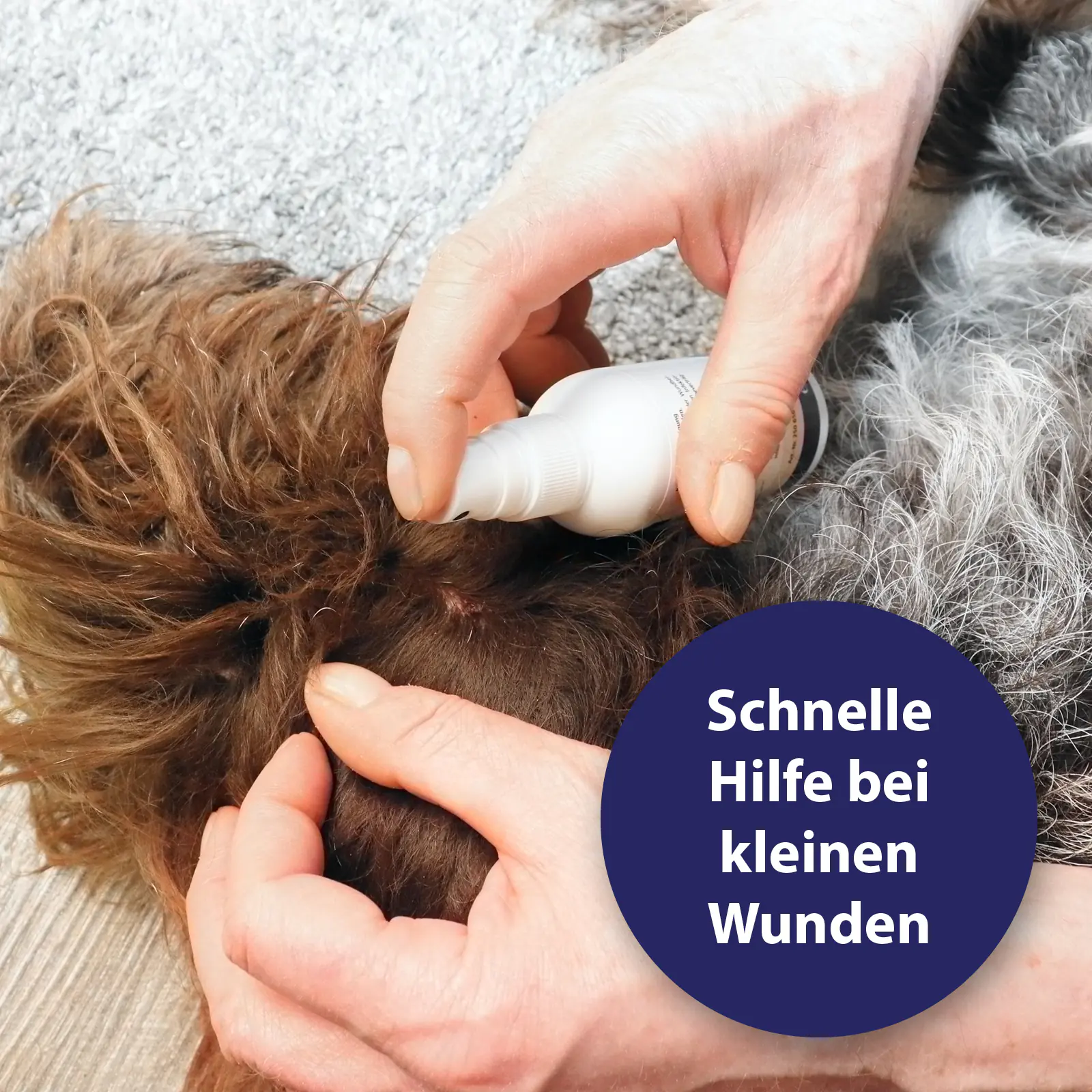 Canosept Wundspray für Hunde 75 ml