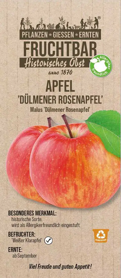 Stadt Ernte Bio Obstbaum Apfel Dülmener Rosenapfel H 150 cm 29 cm Topf
