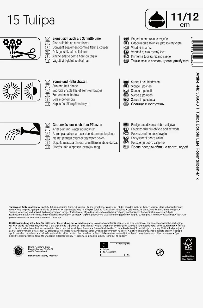 Kiepenkerl Mega-Pack Gefüllte späte Tulpen Rosentulpen-Mischung Tulipa x Hybrida