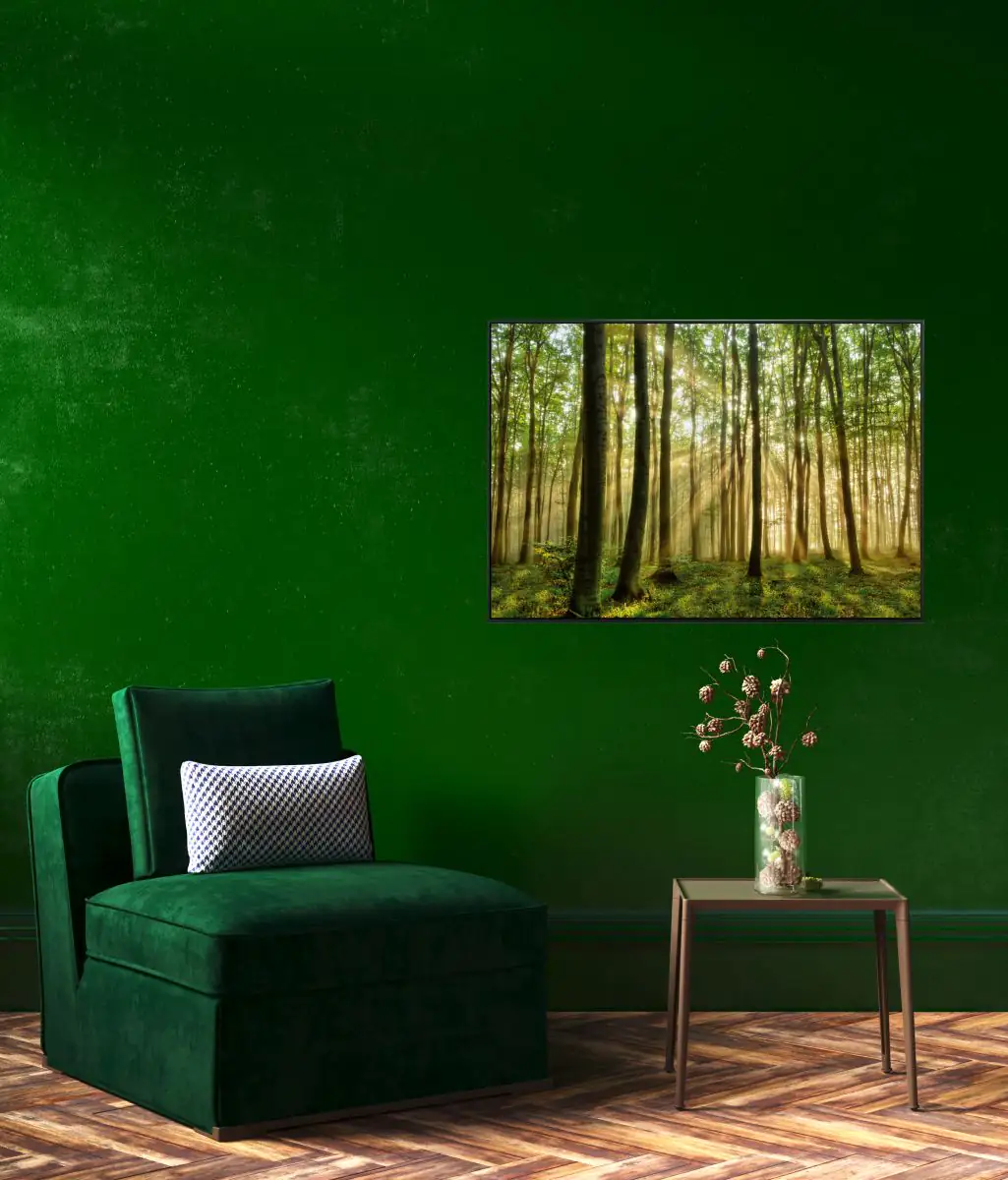 papermoon Infrarotheizkörper EcoHeat 60X100 cm 800 Watt, Wald Morgensonne