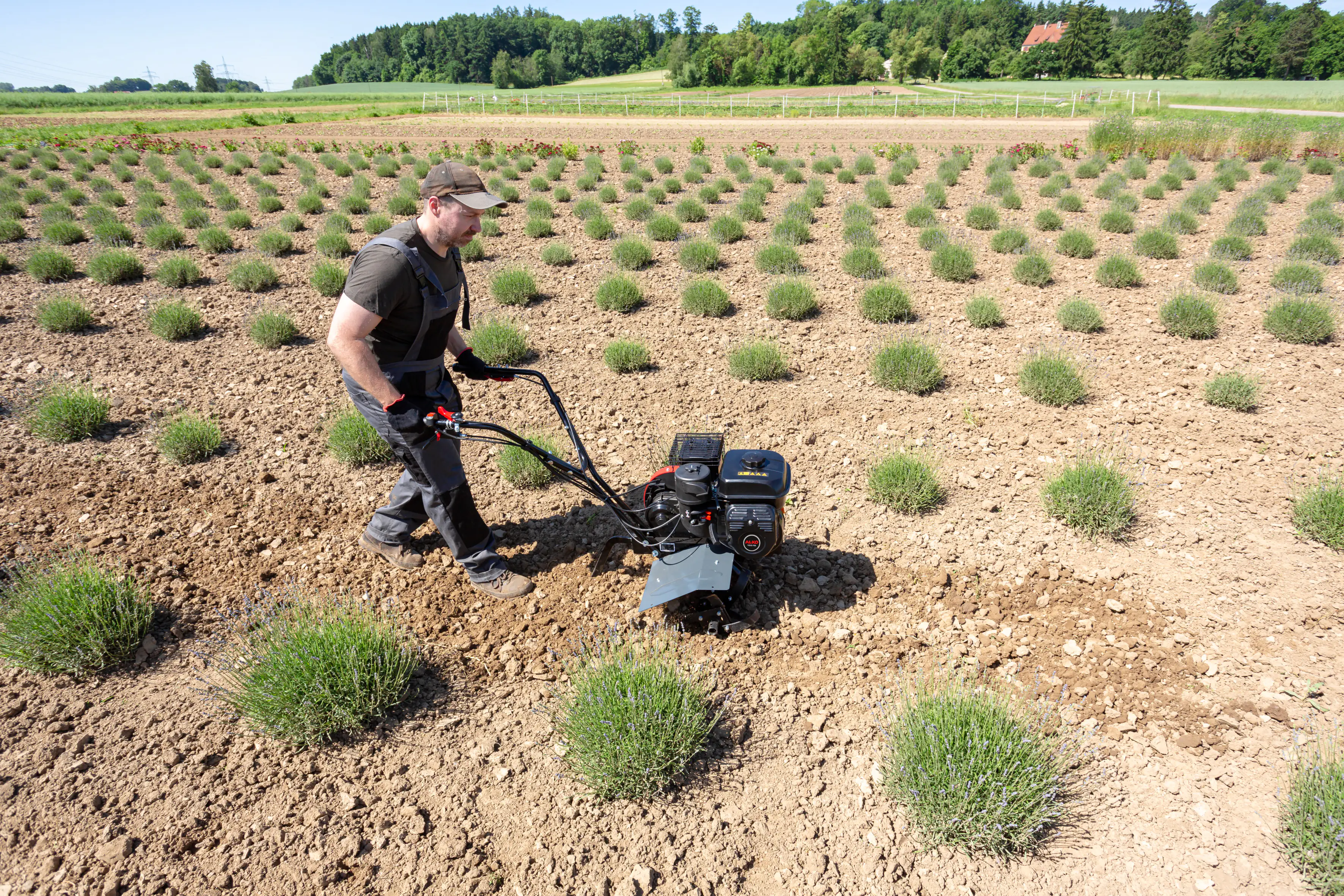 AL-KO Benzin-Motorhacke MH 540 Comfort 3,45 kW, 54 cm Arbeitsbreite