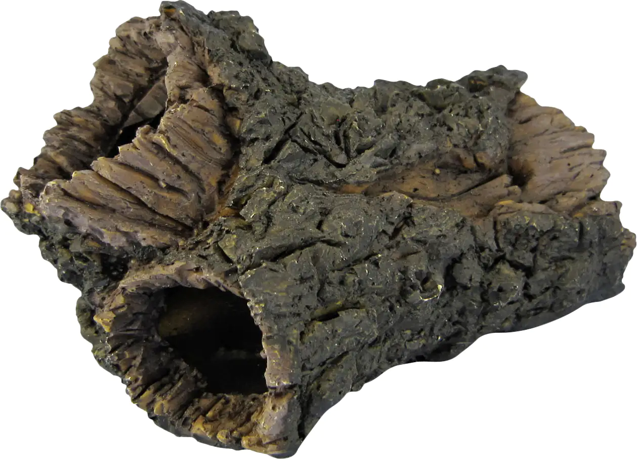 Orbit Welshöhle Orbit Welshöhle