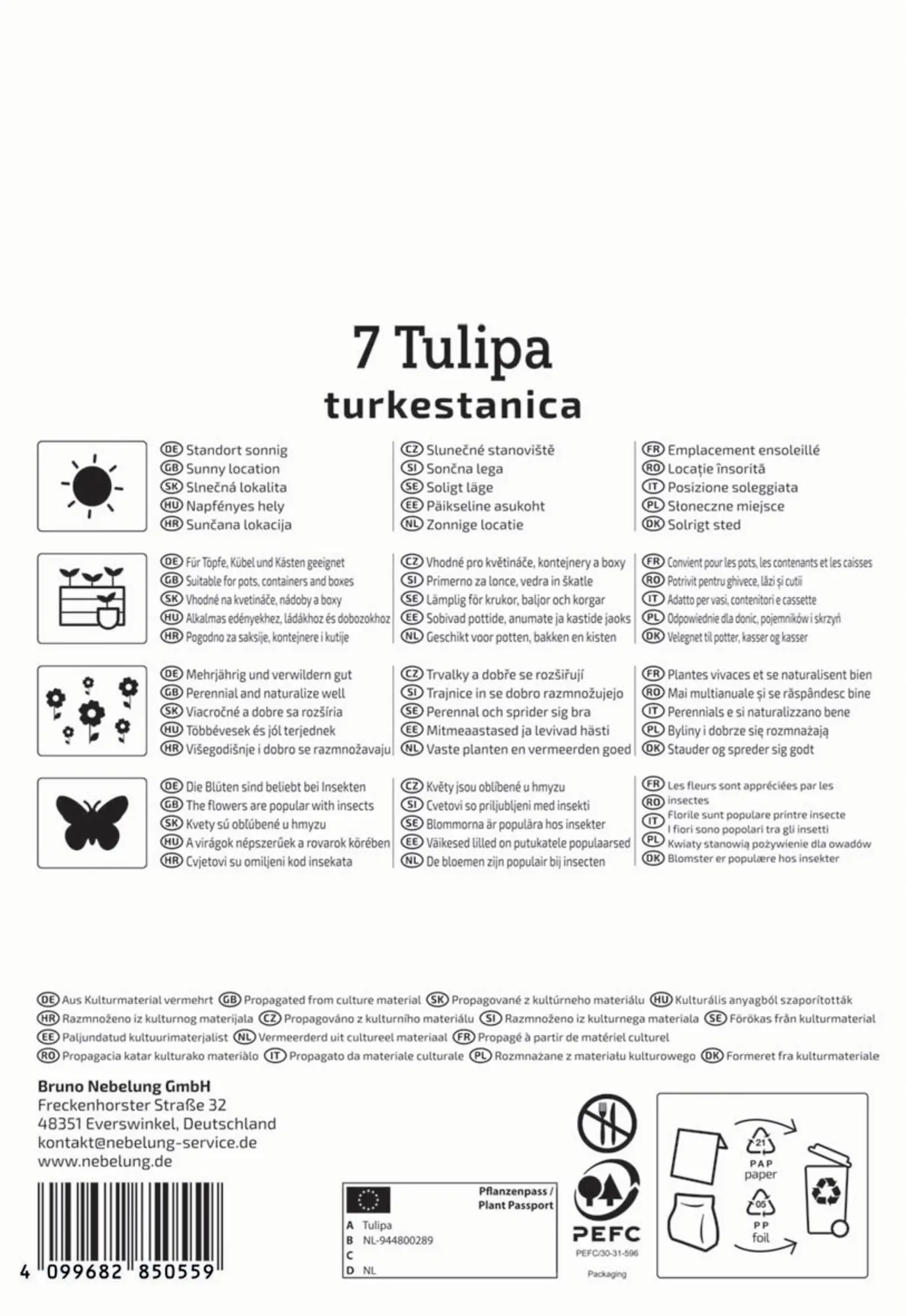 Kiepenkerl Herbstblumenzwiebel Wildtulpe Tulipa turkestanica 7 Stück