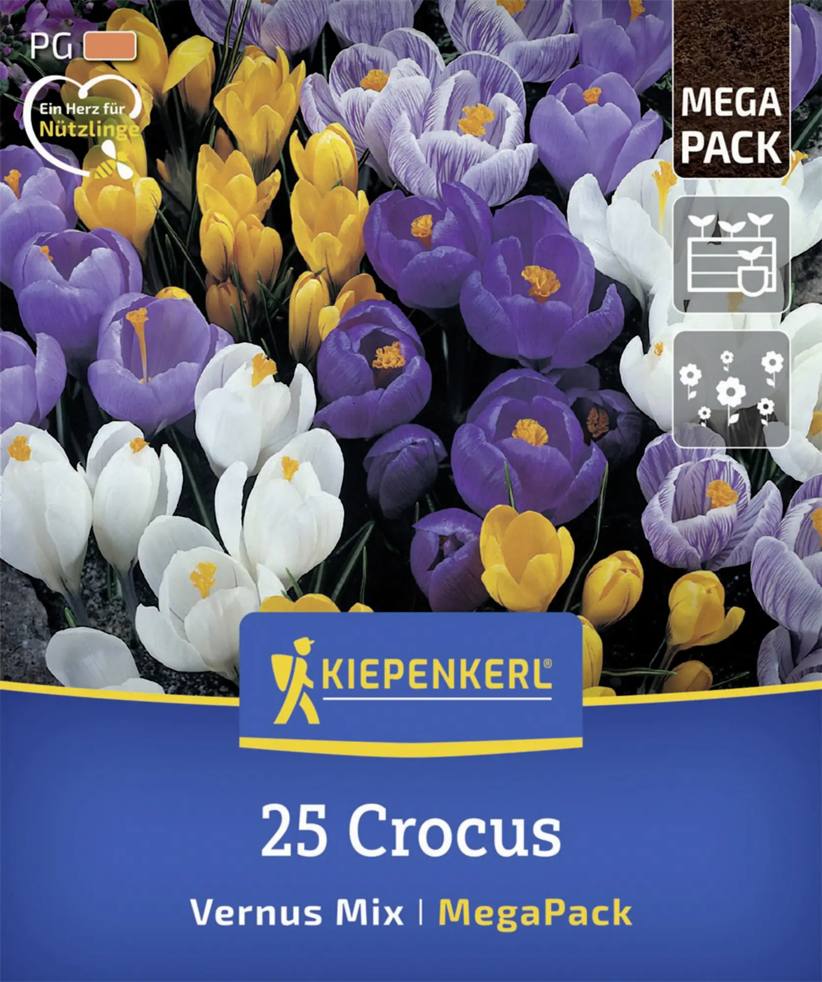 Kiepenkerl Herbstblumenzwiebel Mega-Pack Gartenkrokuse 25 Stück