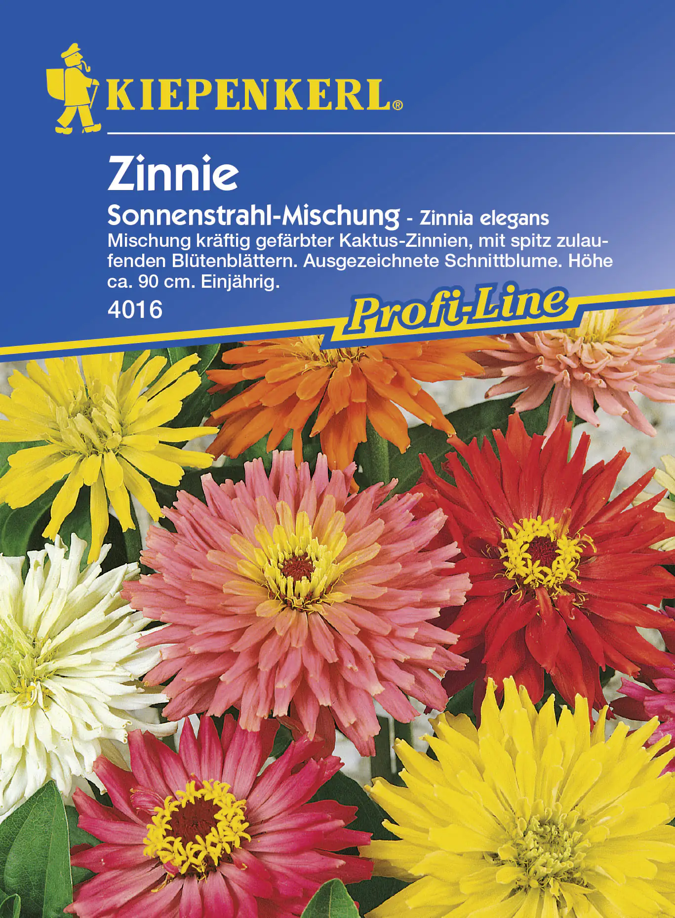 Kiepenkerl Zinnie Sonnenstrahl-Mischung ca. 40 Pflanzen