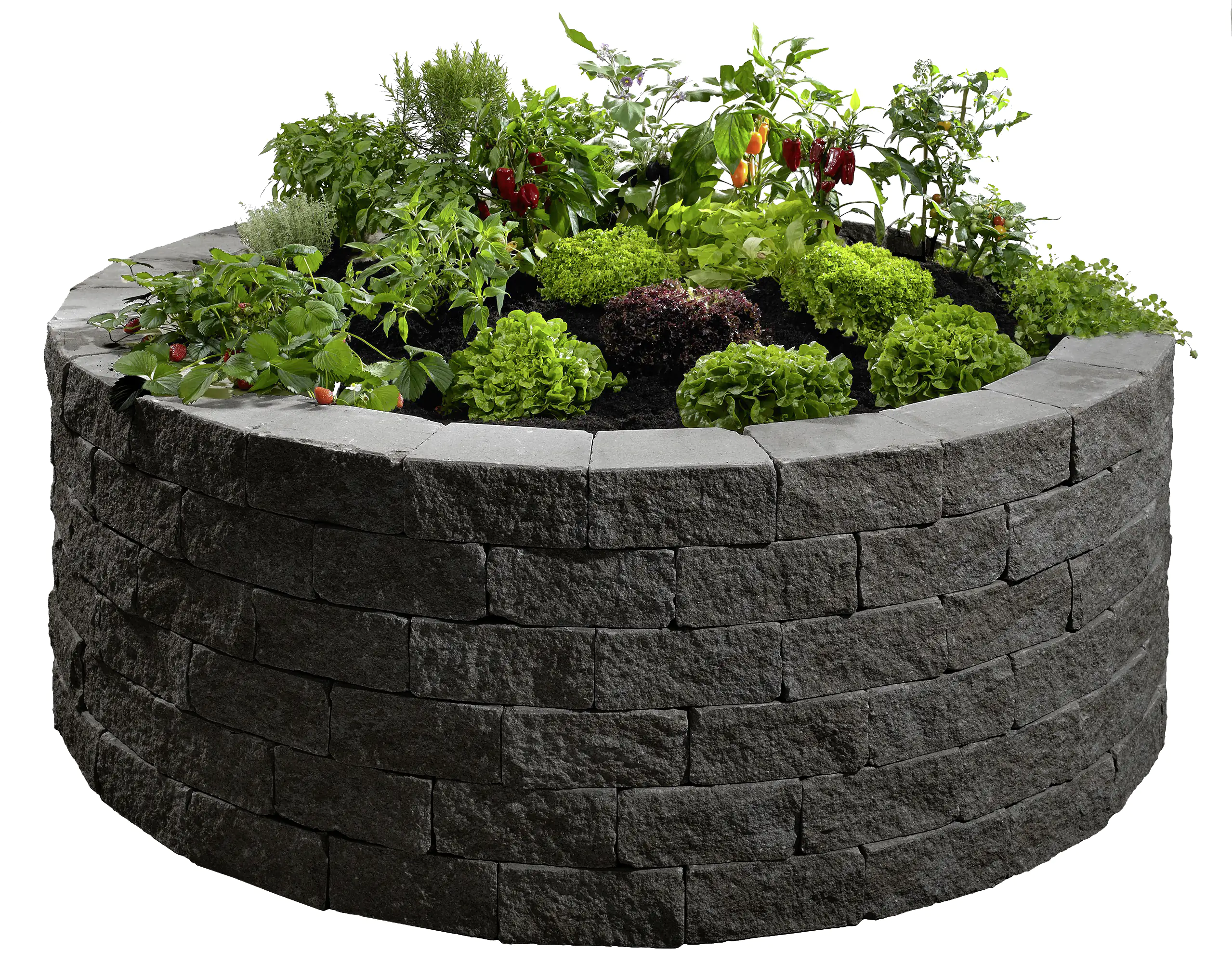 2077881026601_4 Kann Hochbeet-Set Vigneto-Rondell Ø 200 x 72 cm 72 cm anthrazit
