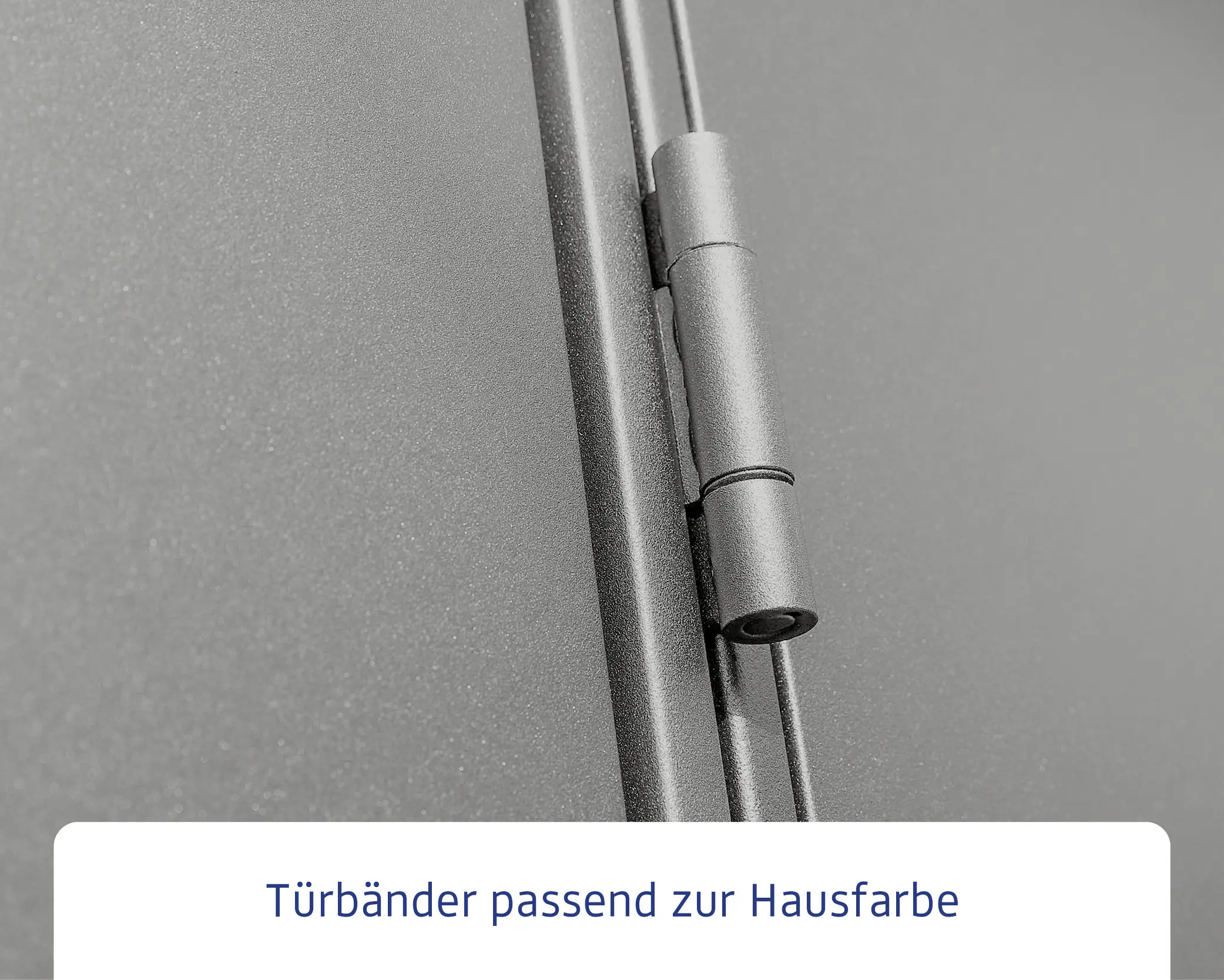 EcoStar Gerätehaus Elegant-S Typ 3 graualuminium 323,6 x 247,7 x 219,4 cm