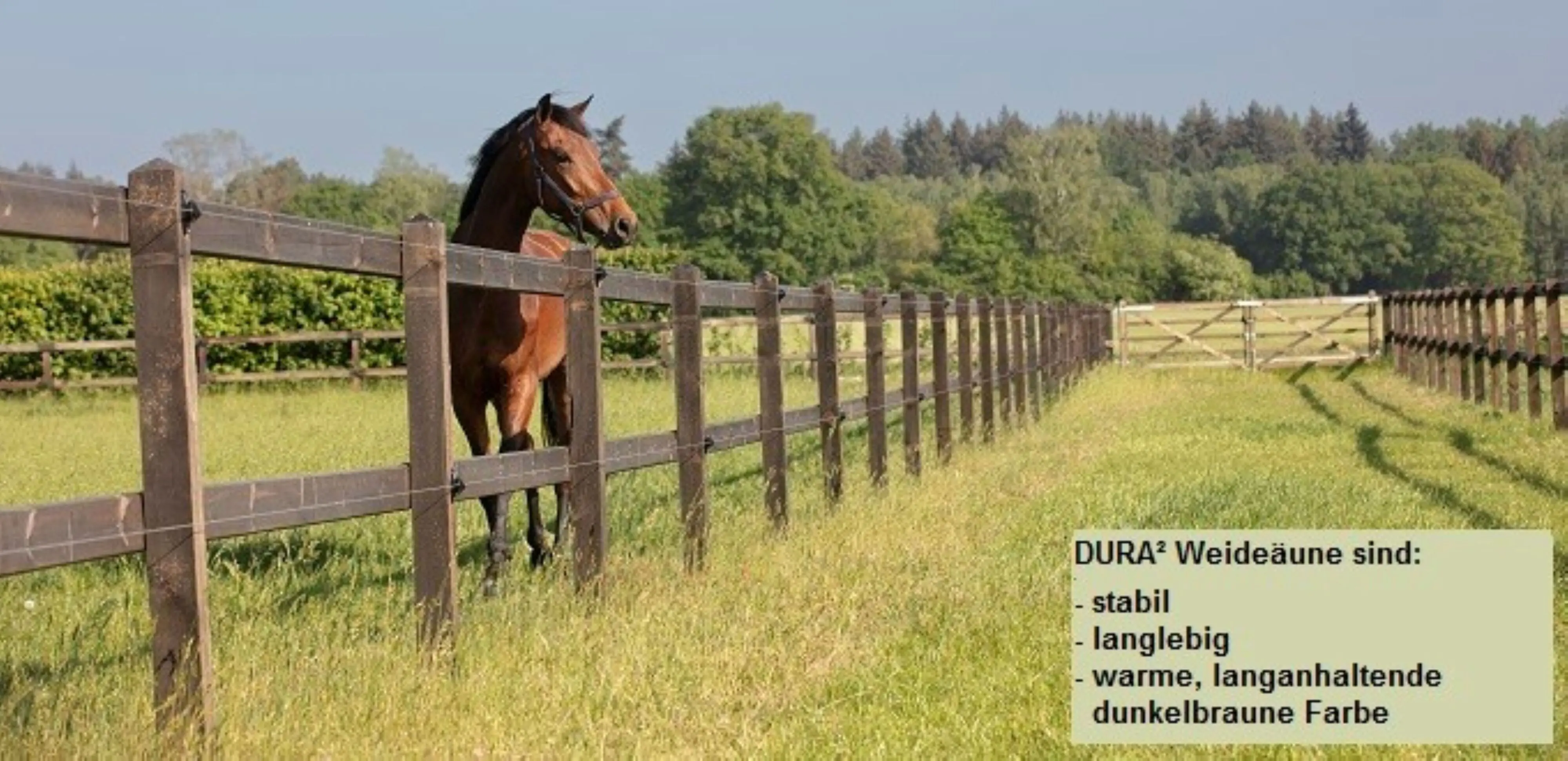 Vierkantpfah Koppelzaun 2-reihig Höhe 168-180 cm 50 lfm