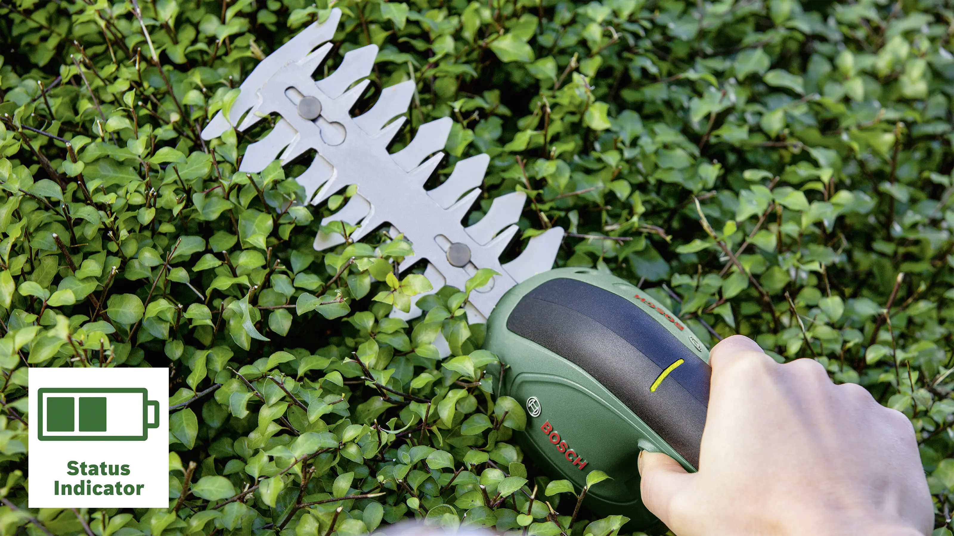 Bosch Akku- Gras-und- Strauchschere EasyShear 3,6 V
