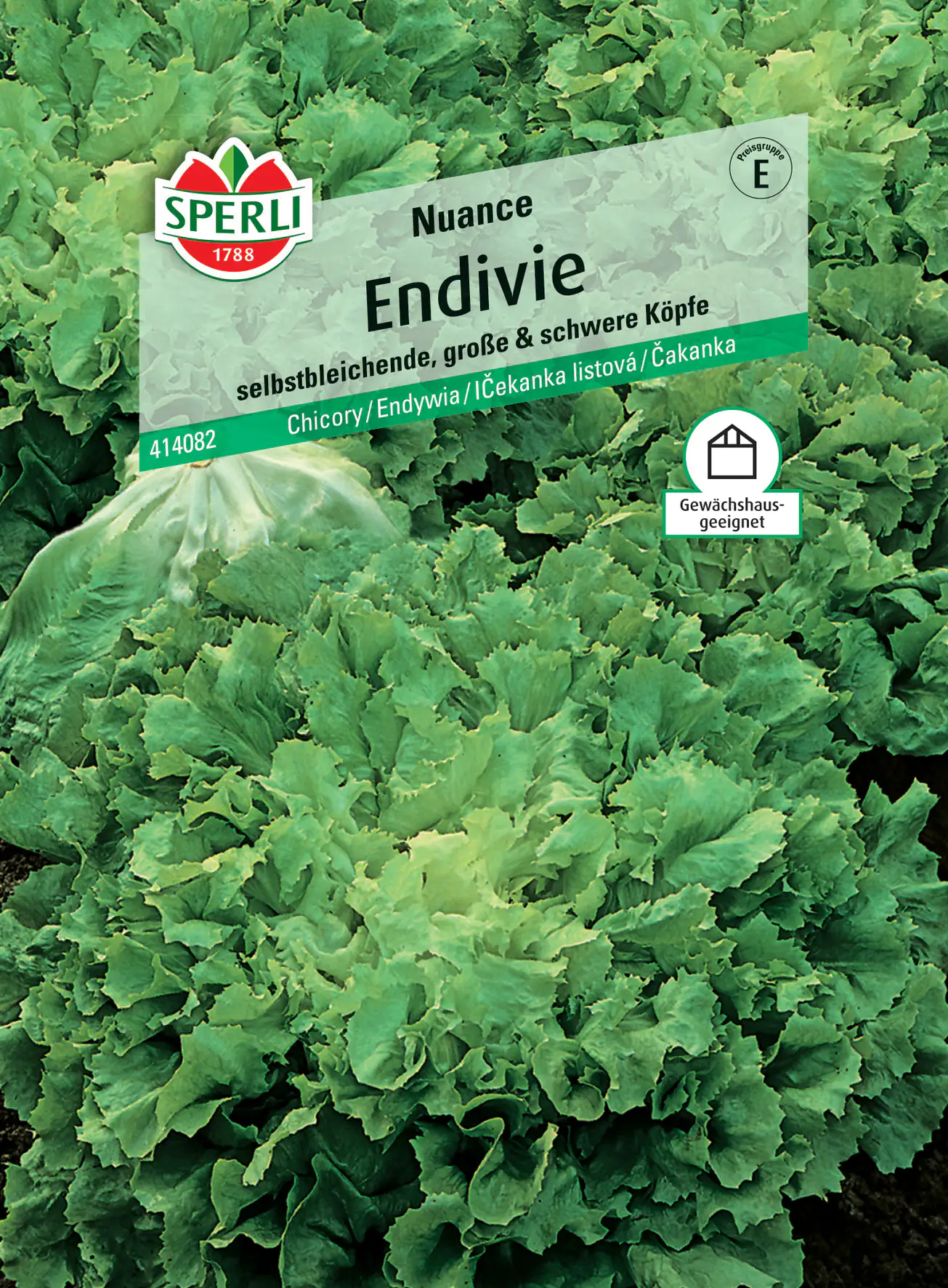 Sperli Endivie Nuance Sperli Endivie Nuance