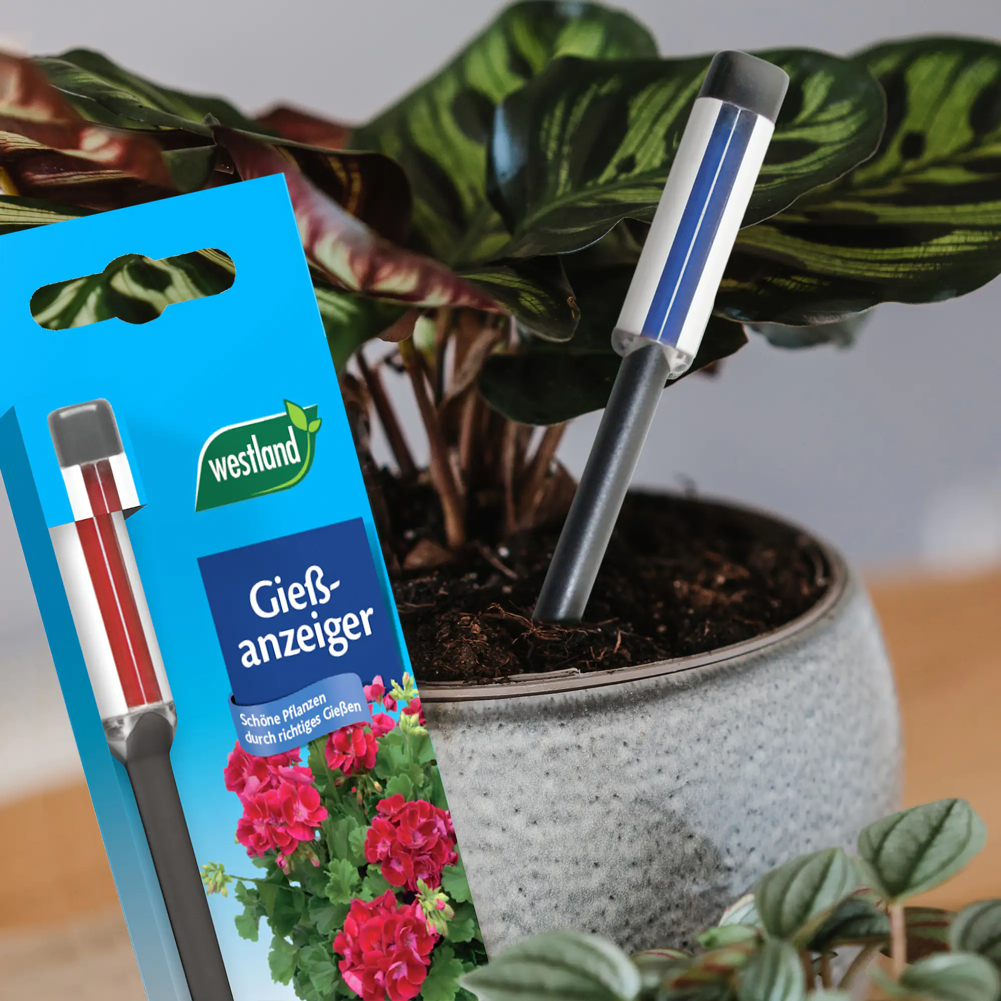 Westland Gießanzeiger klein anthrazit 16 cm