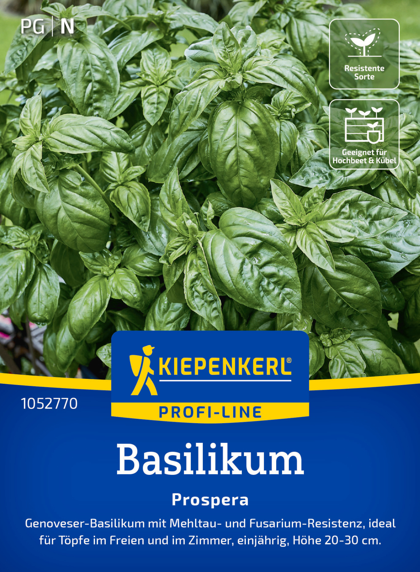 Kiepenkerl Profi-Line Saatgut Basilikum Prospera F1 für ca. 50 Pflanzen