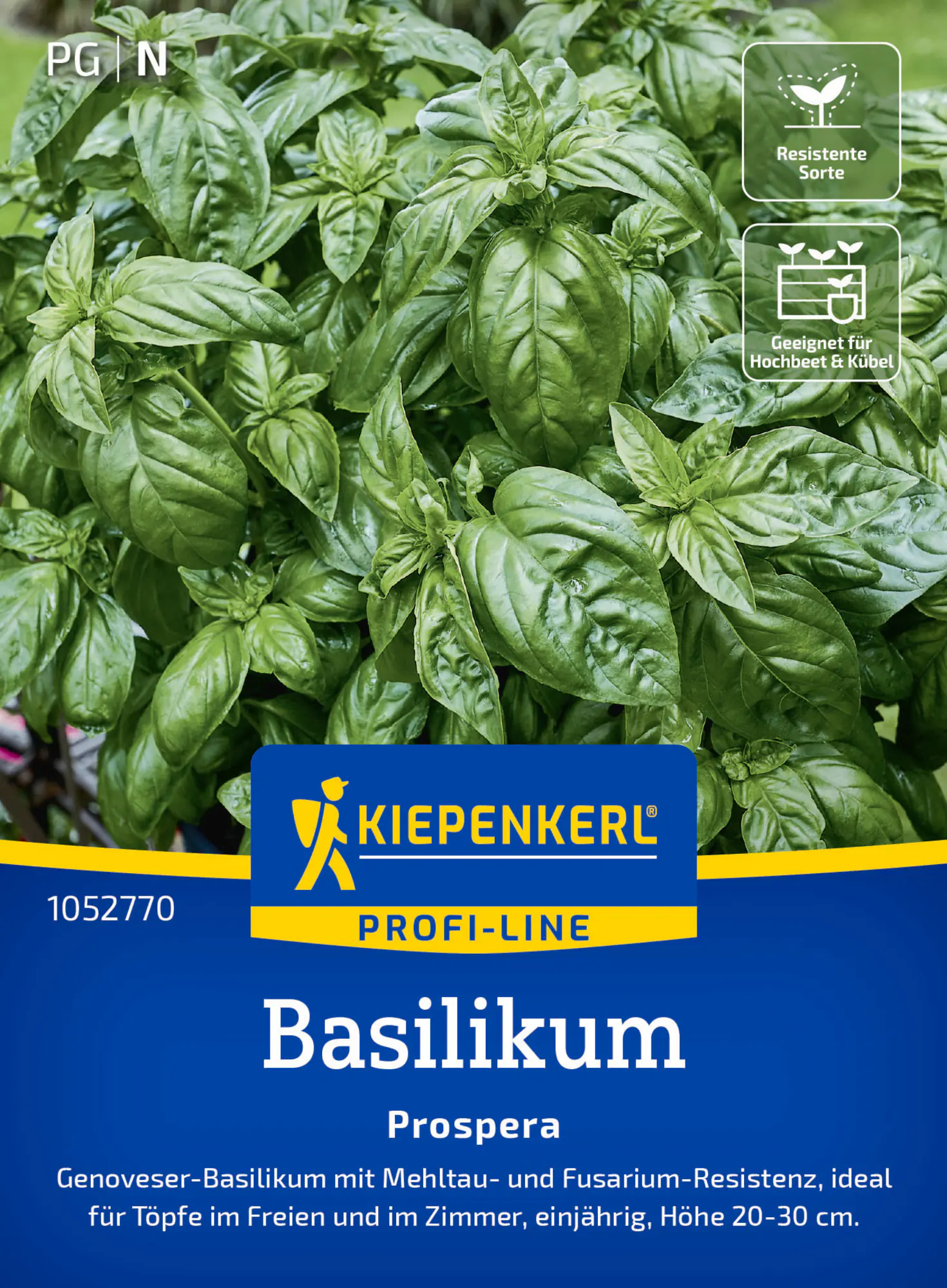 Kiepenkerl Profi-Line Saatgut Basilikum Prospera F1 für ca. 50 Pflanzen
