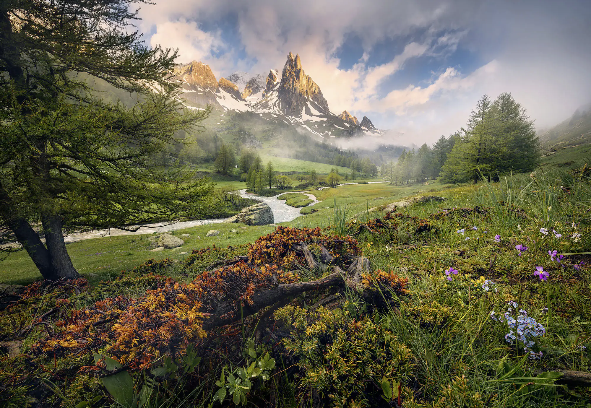 Komar Fototapete Morning Walk 368 x 254 cm 