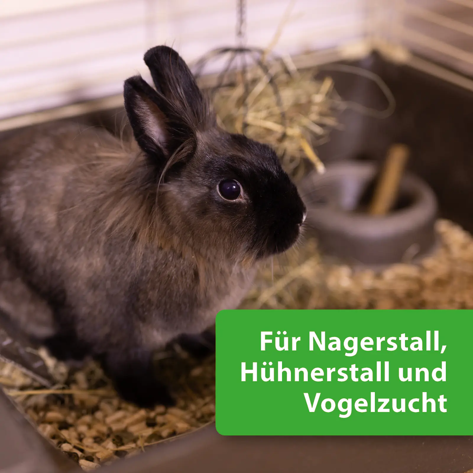 Quiko Hobbyfarming Kieselgur Pulver 200 g