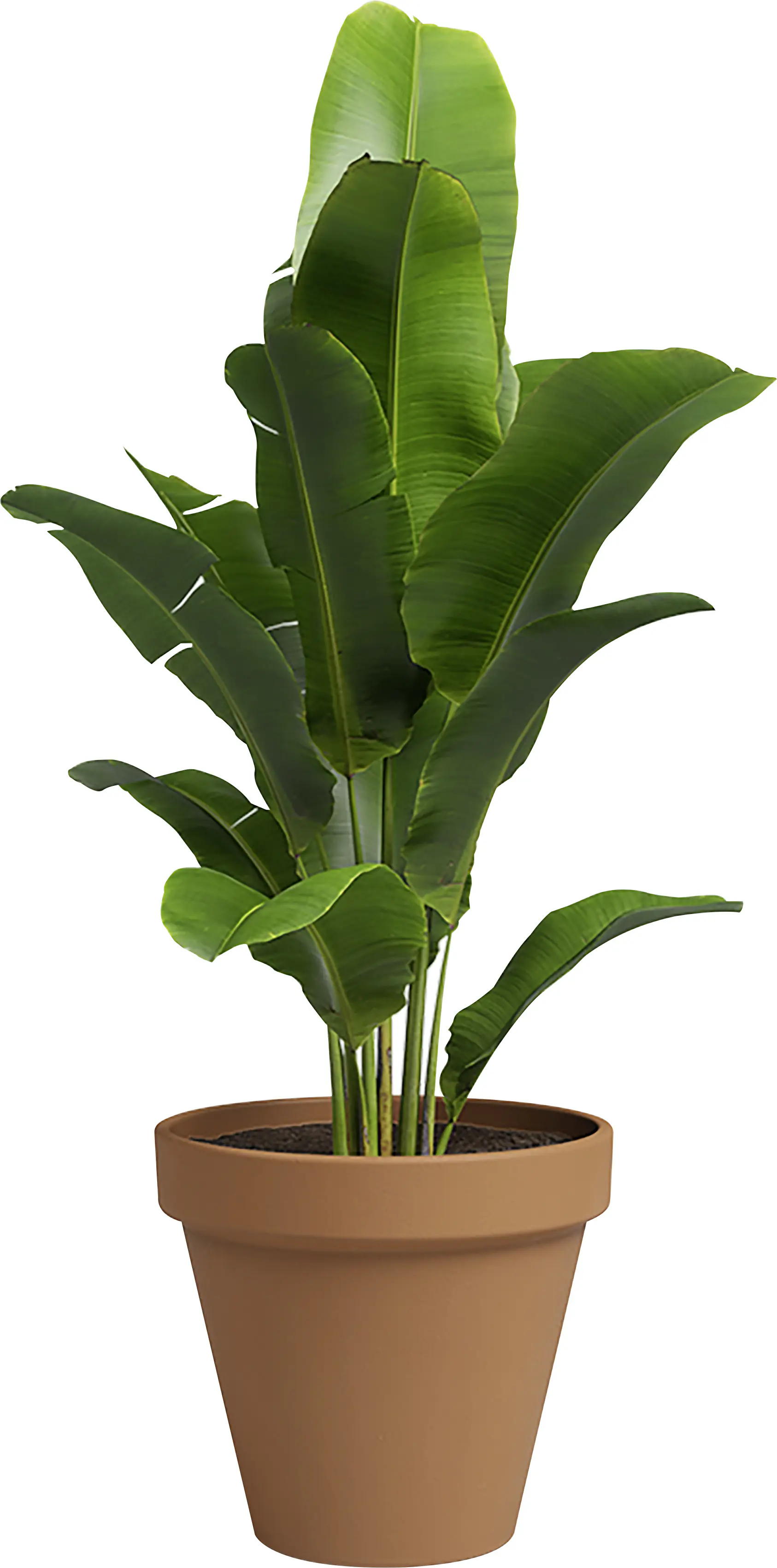 Artevasi Pflanztopf Amália Terrakotta tonrot Ø 23 x 20 cm