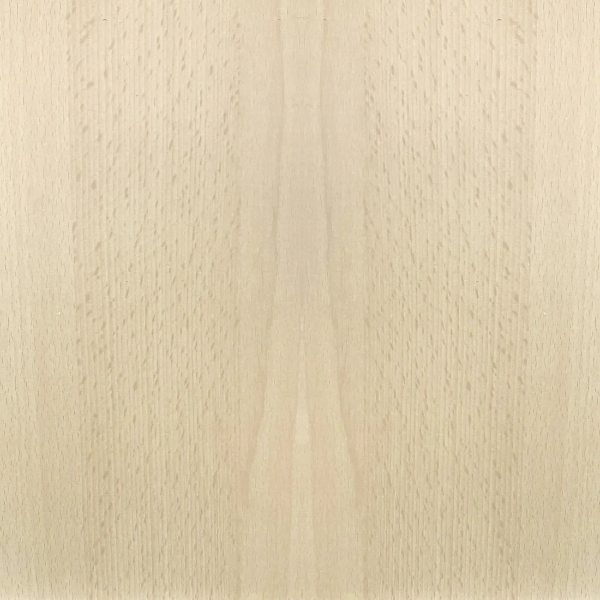 FN Neuhofer Flachleiste 95 cm 16 x 3 mm Buche