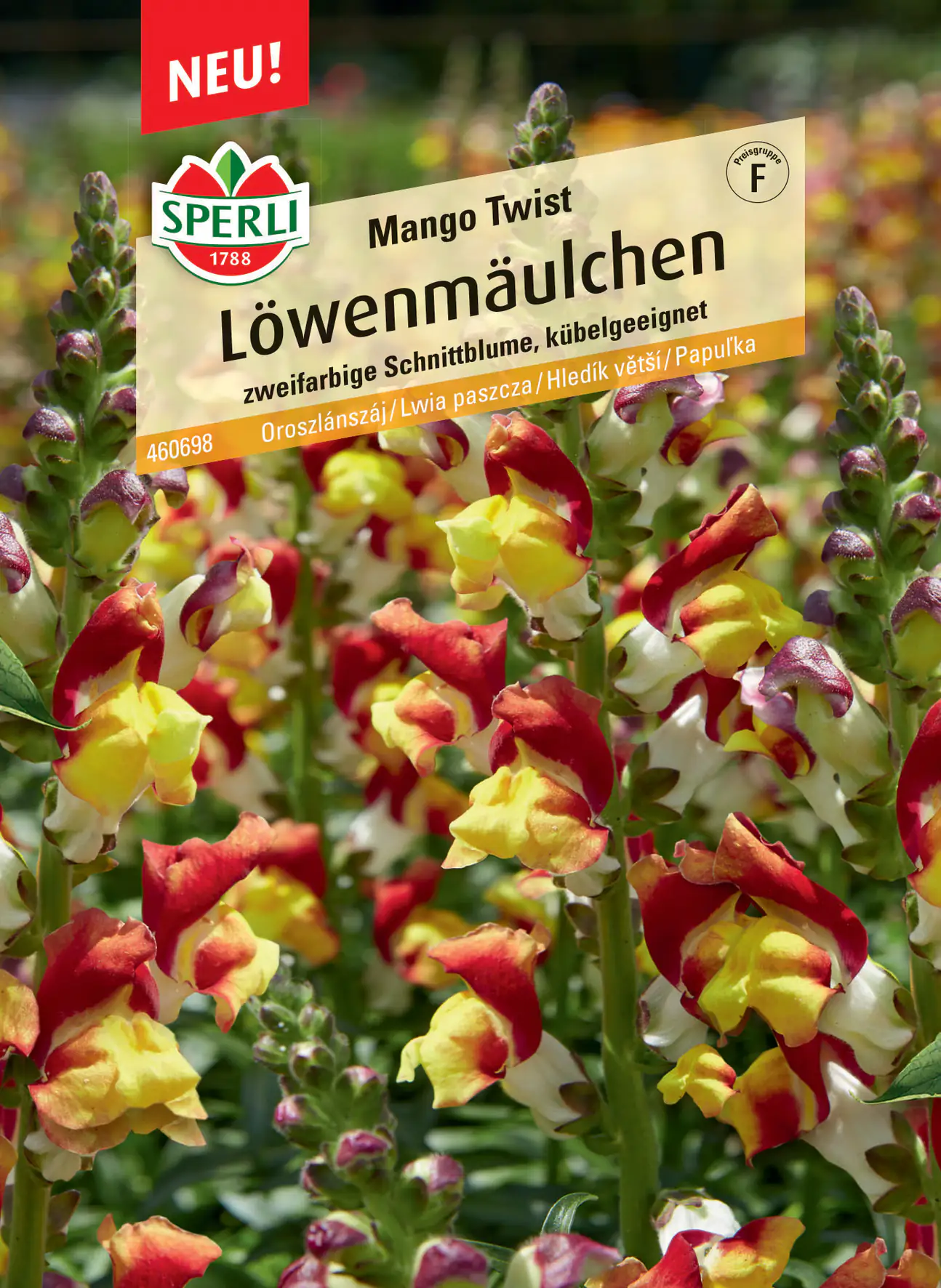 Sperli Löwenmäulchen Mango Twist