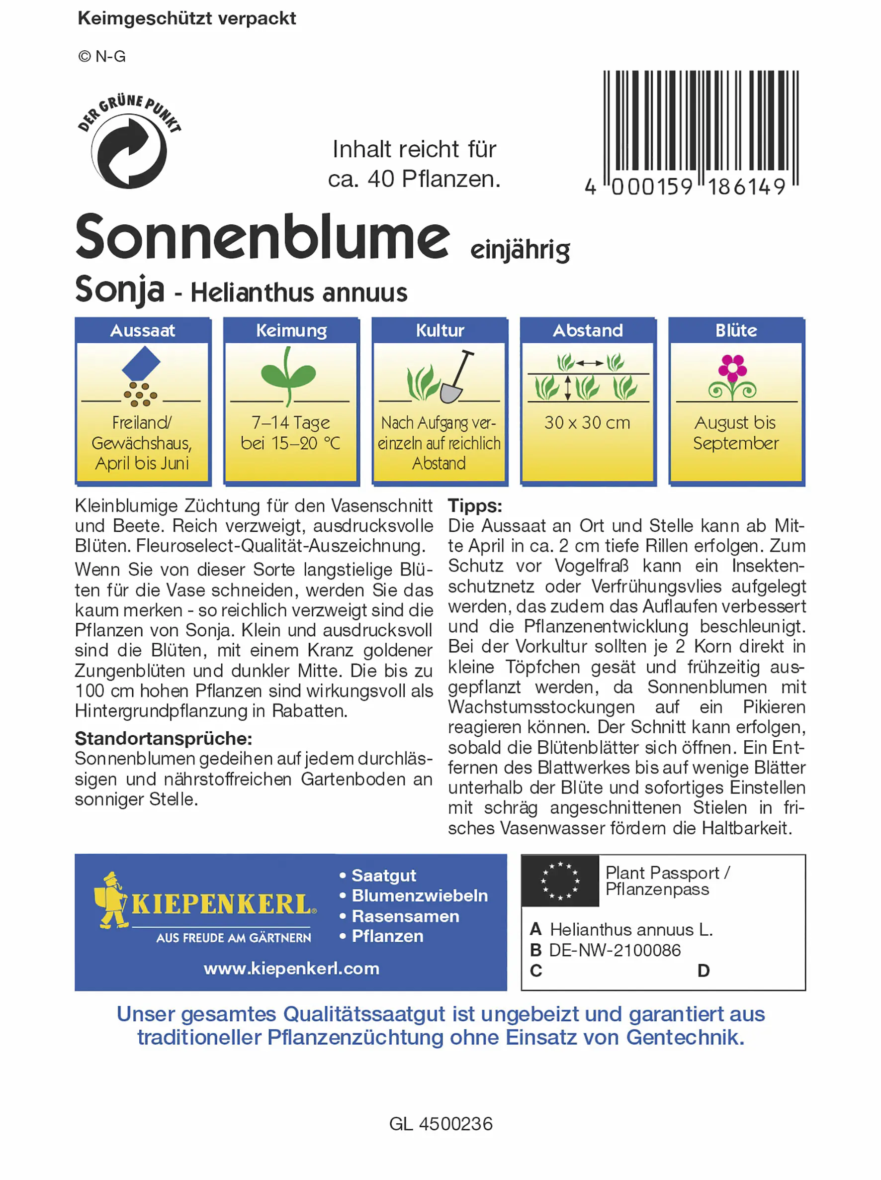 Kiepenkerl Sonnenblume Sonja F1 Inhalt reicht für ca. 40 Pflanzen