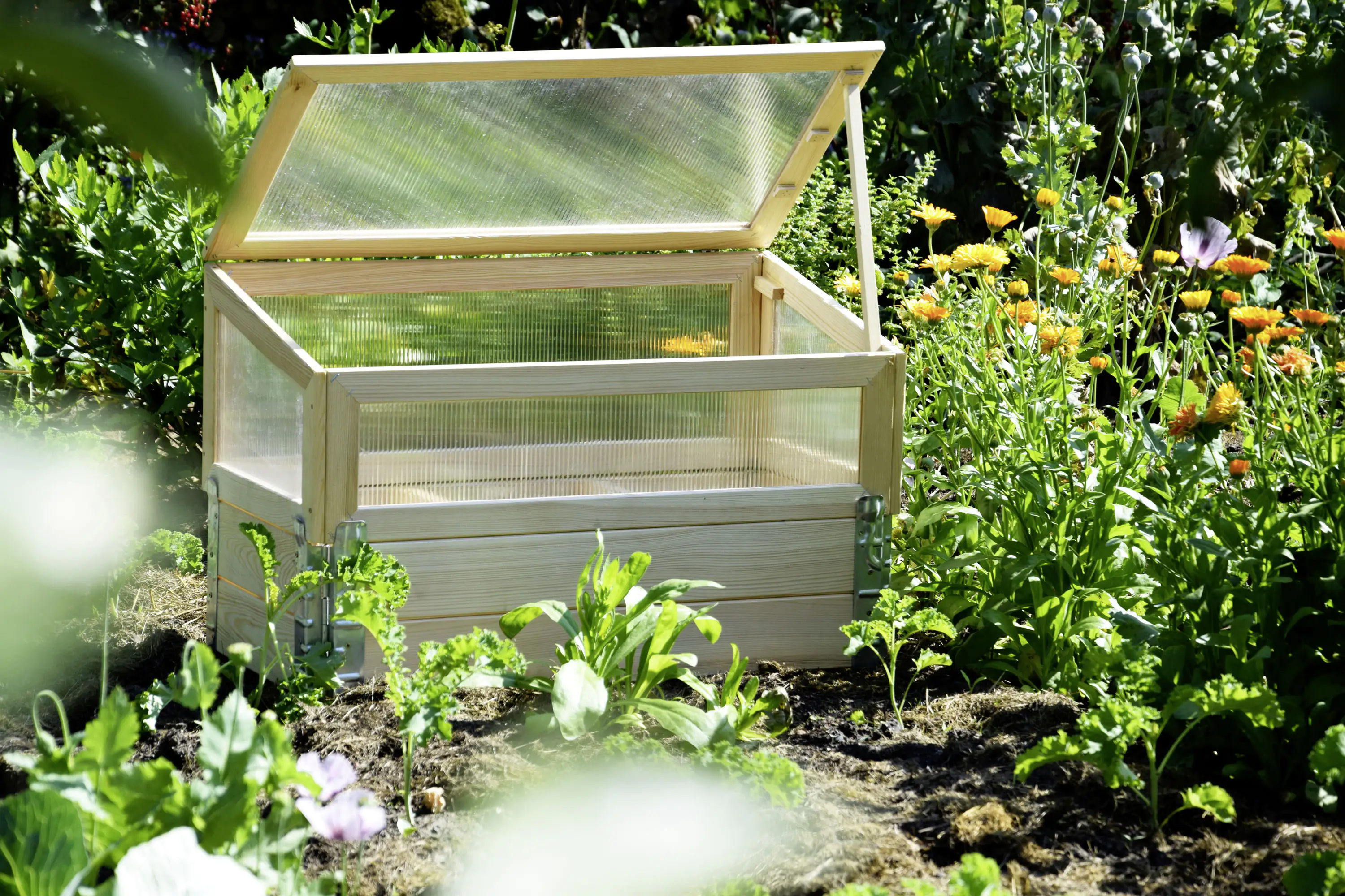 Dobar Frühbeet mit Untersatz transparent Kiefer 76 x 40 x 50 cm