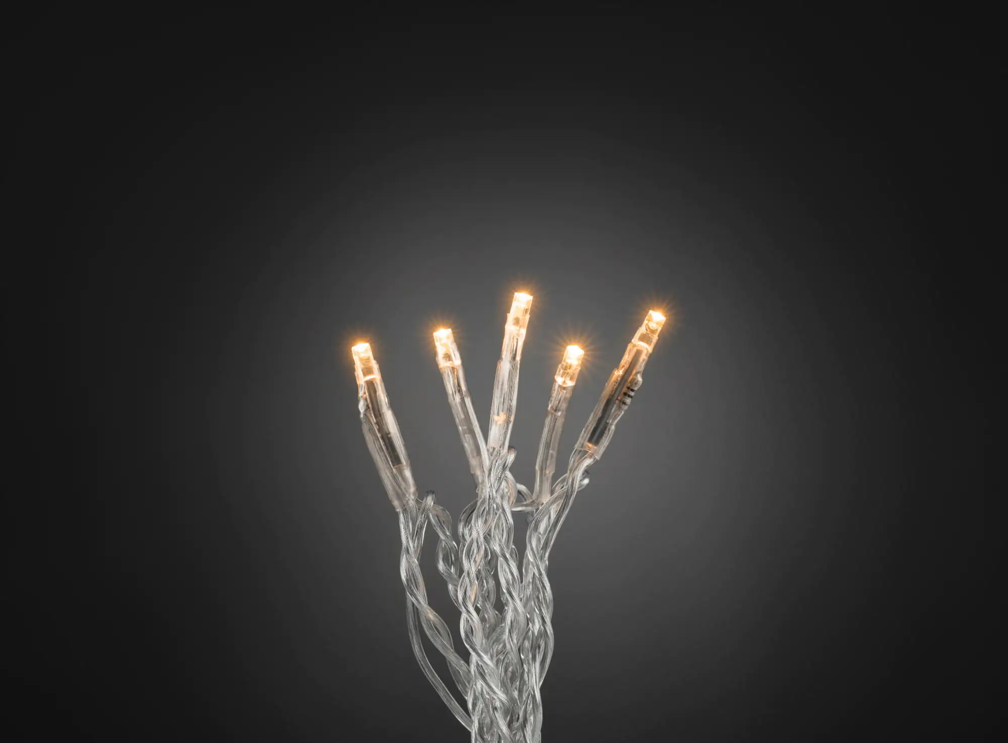 Konstsmide LED Microlichterkette 100 LED, warmweiß