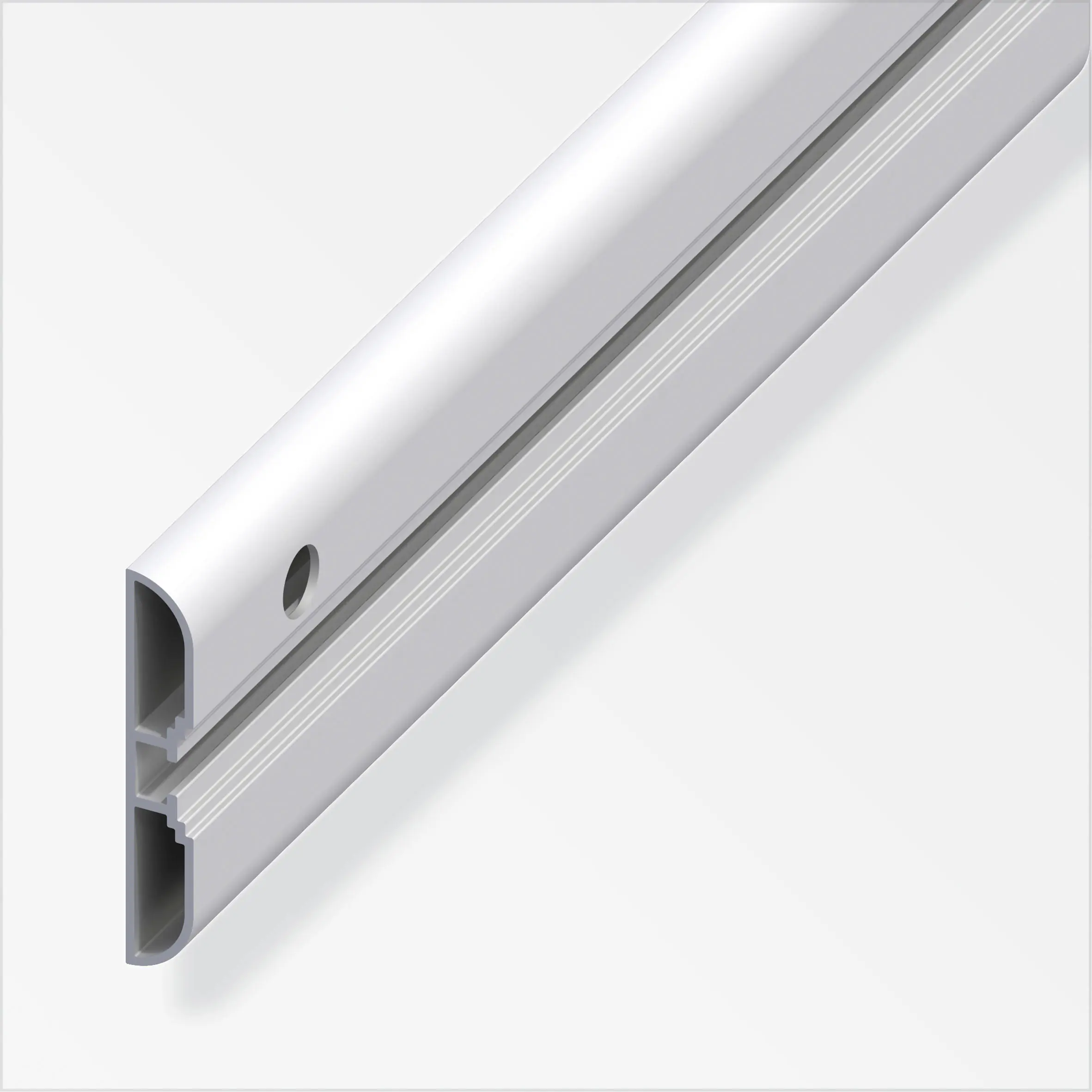 coaxis®-Profil, breit 1 m, 60 x 10 mm Aluminium eloxiert silber