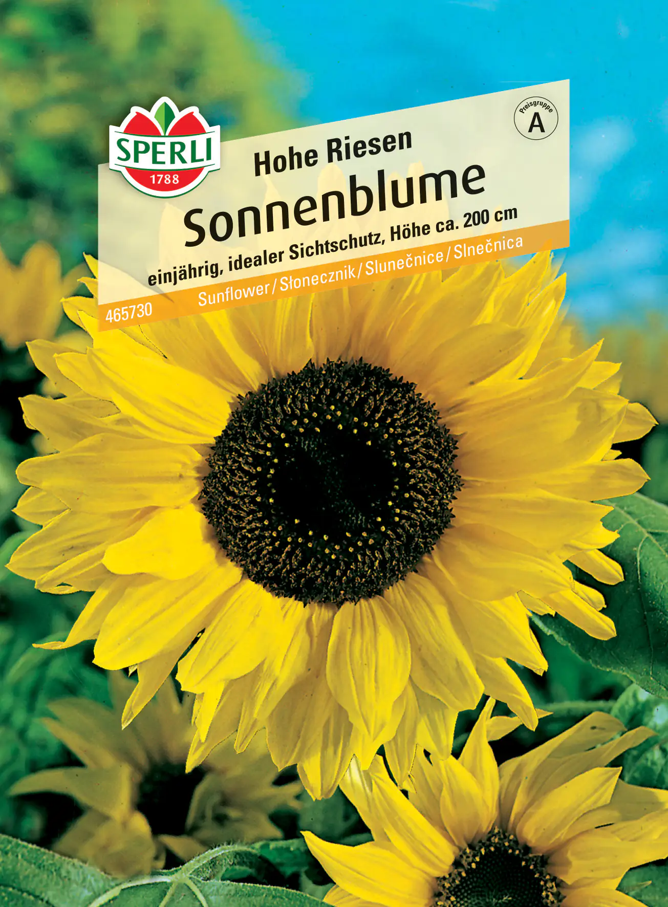 Sperli Sonnenblume Hohe Riesen