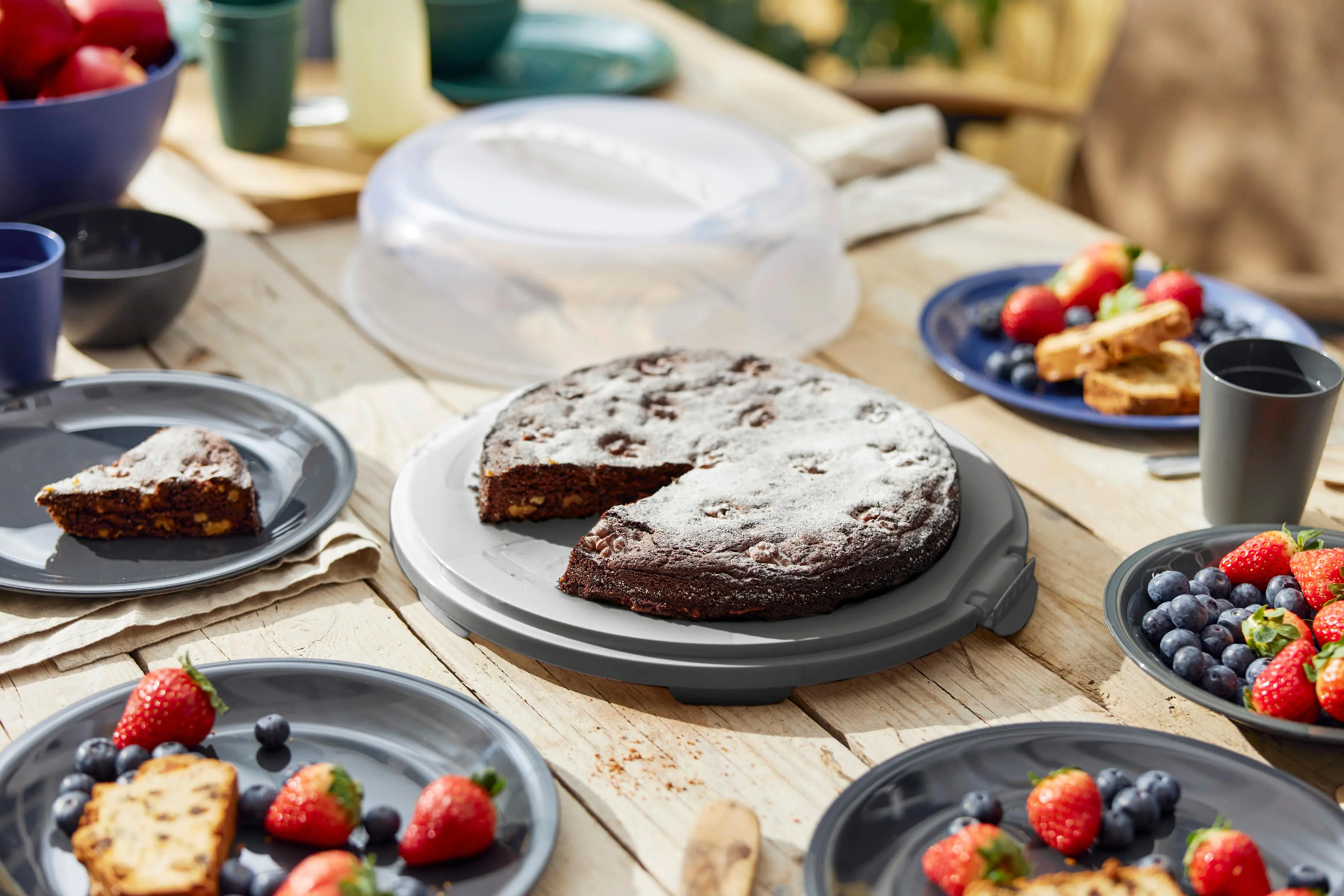 Rotho Tortenglocke flach Fresh Ø 35 x 12 cm holzkohle schwarz