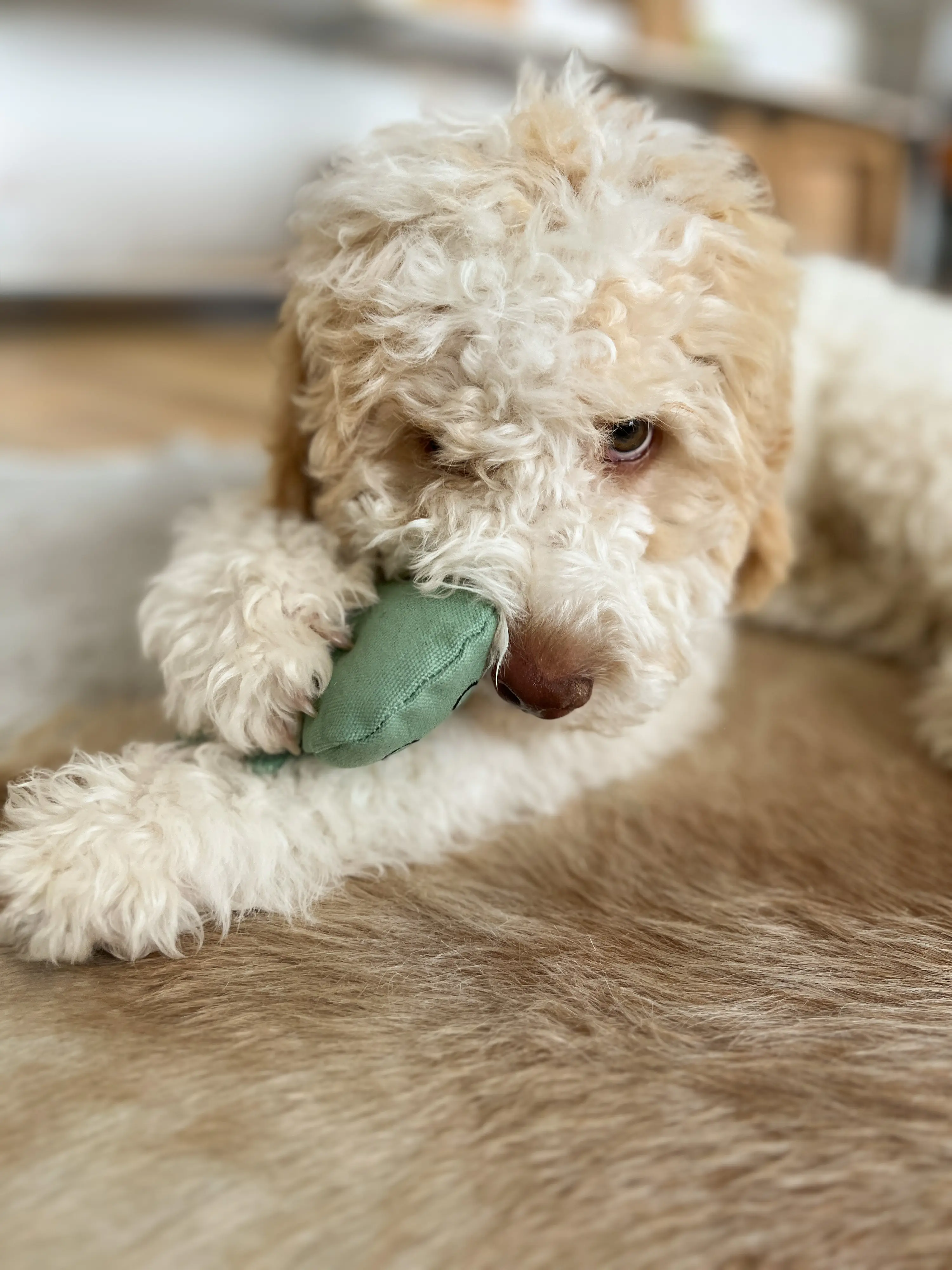 Aumüller Hundespielzeug Geist 16 cm grün