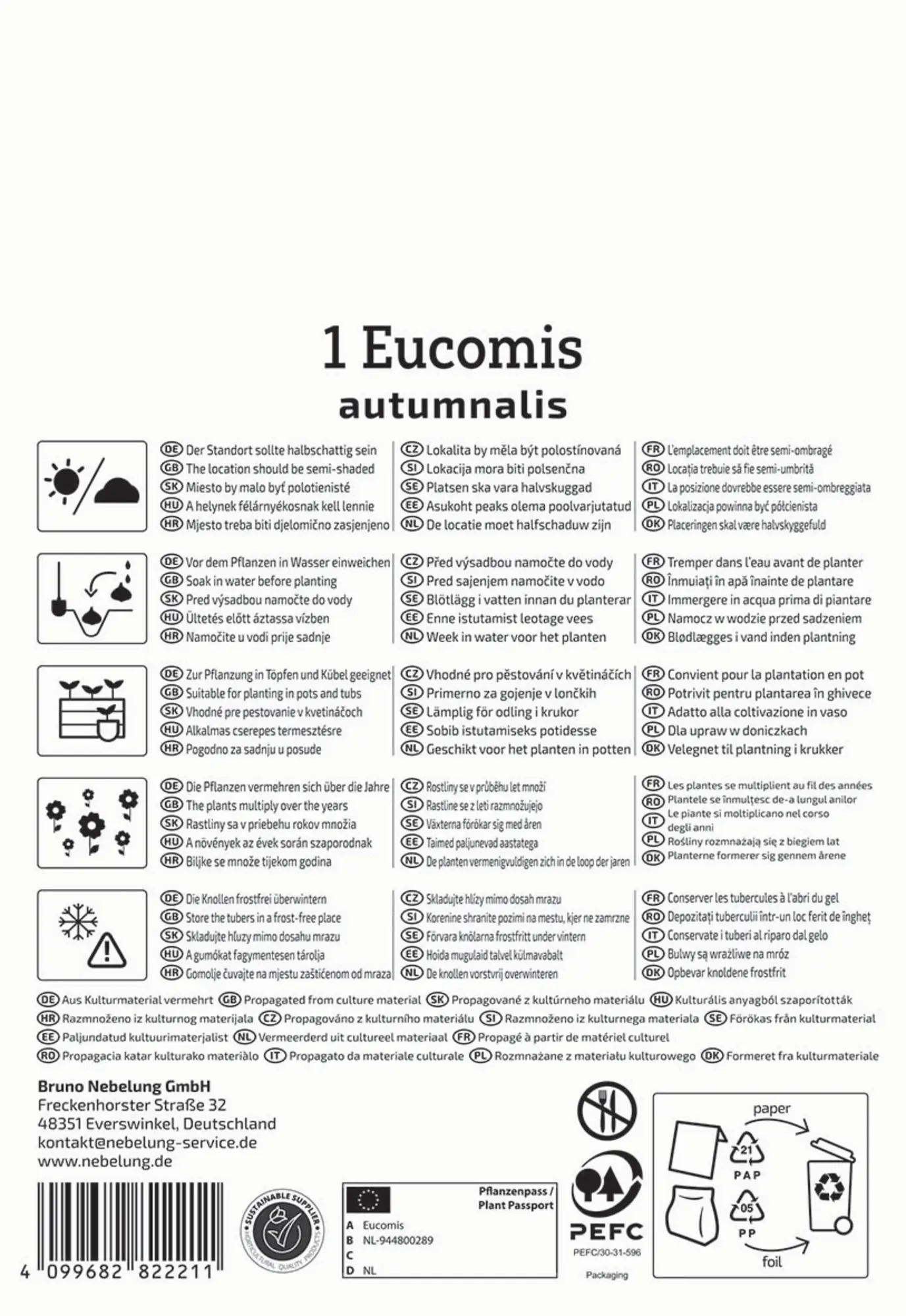 Kiepenkerl Frühjahrsblumenzwiebel Eucomis autumnalis 1 Stück