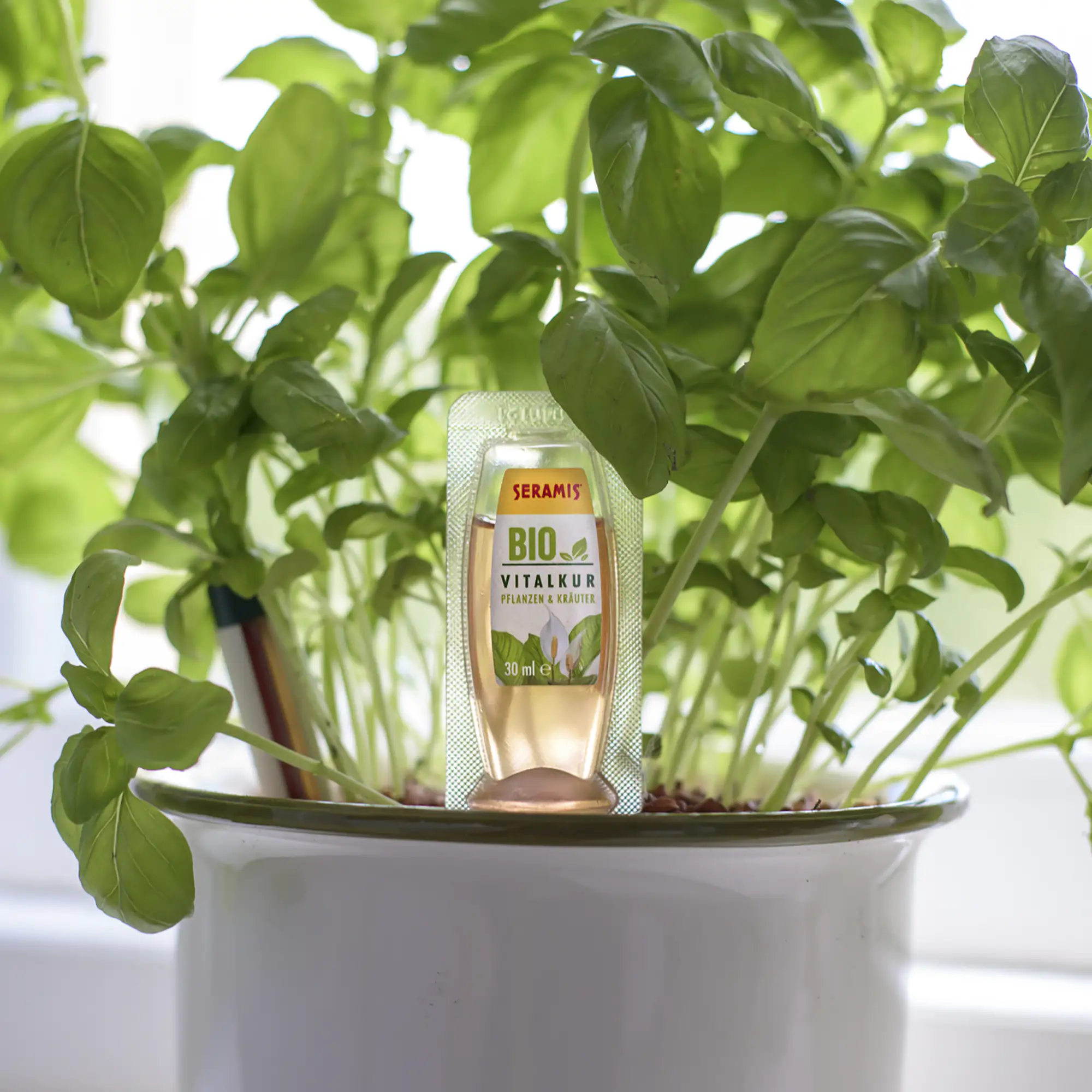Seramis Bio-Vitalkur für Pflanzen & Kräuter 30 ml Seramis Bio-Vitalkur für Pflanzen & Kräuter 30 ml