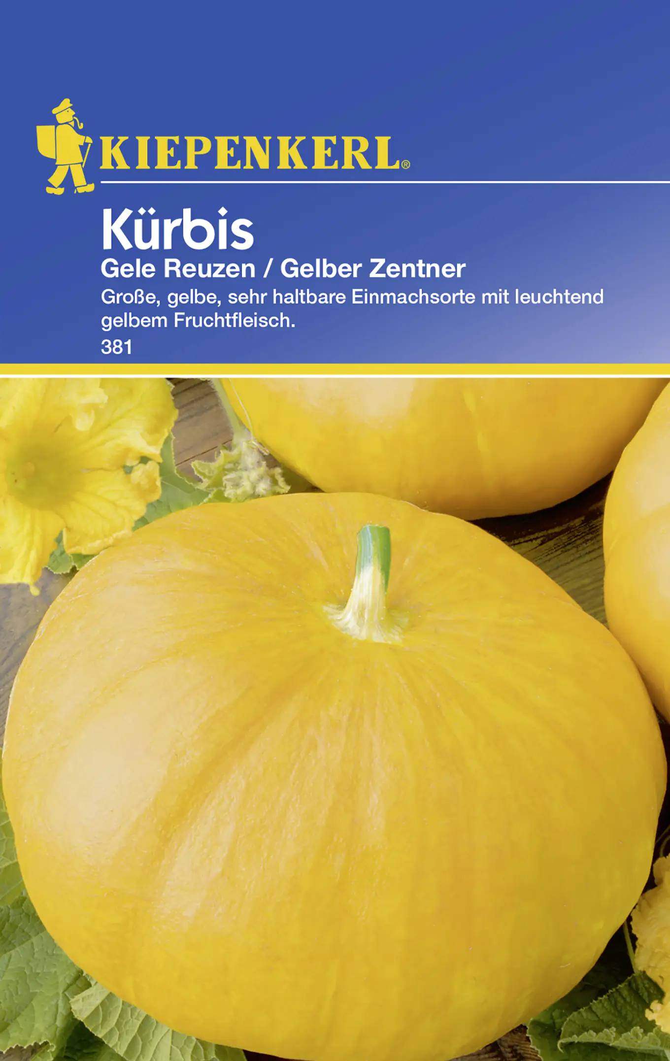 Kiepenkerl Kürbis Gele Reuzen Gelber Zentner Cucurbita maxima, Inhalt: ca. 5 Pflanzen Kiepenkerl Kürbis Gele Reuzen Gelber Zentner Cucurbita maxima, Inhalt: ca. 5 Pflanzen