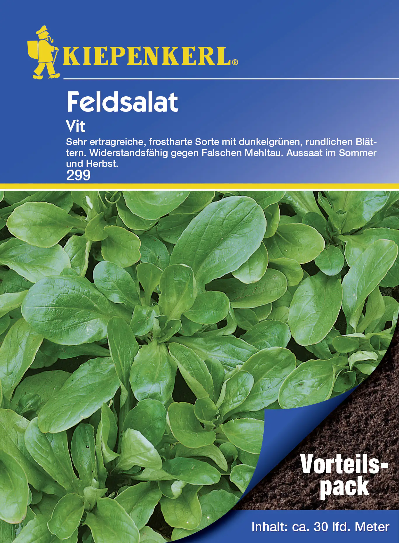 Kiepenkerl Feldsalat Vit Vorteilspack ca. 30 lfd. Meter