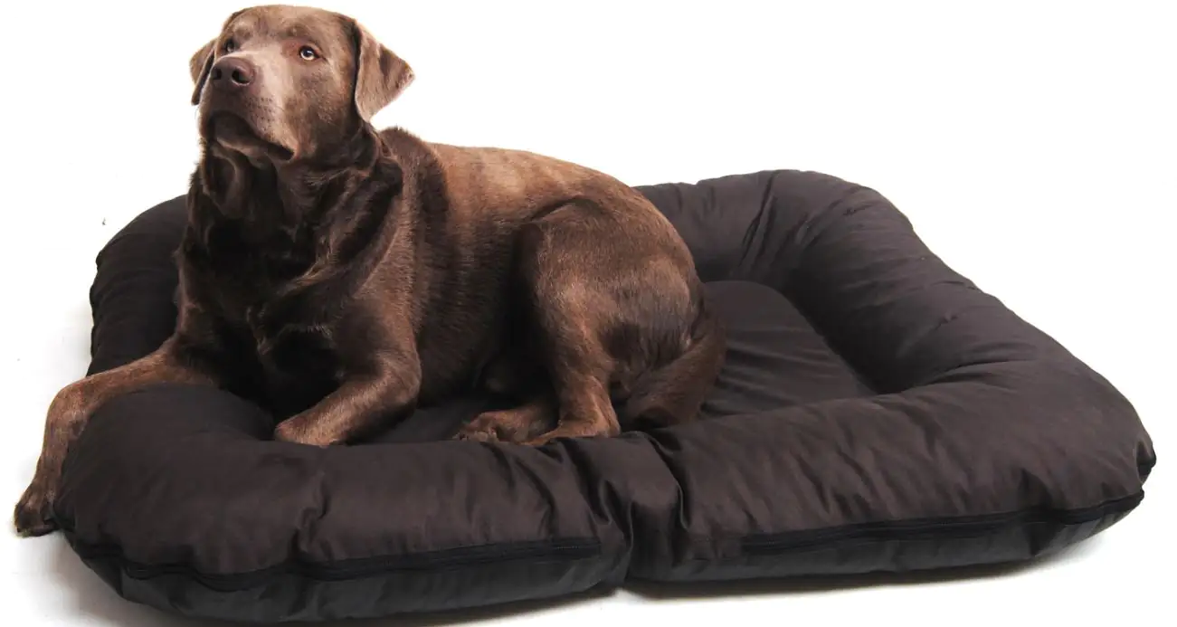 Lebon Hundekissen Ponto eckig braun
