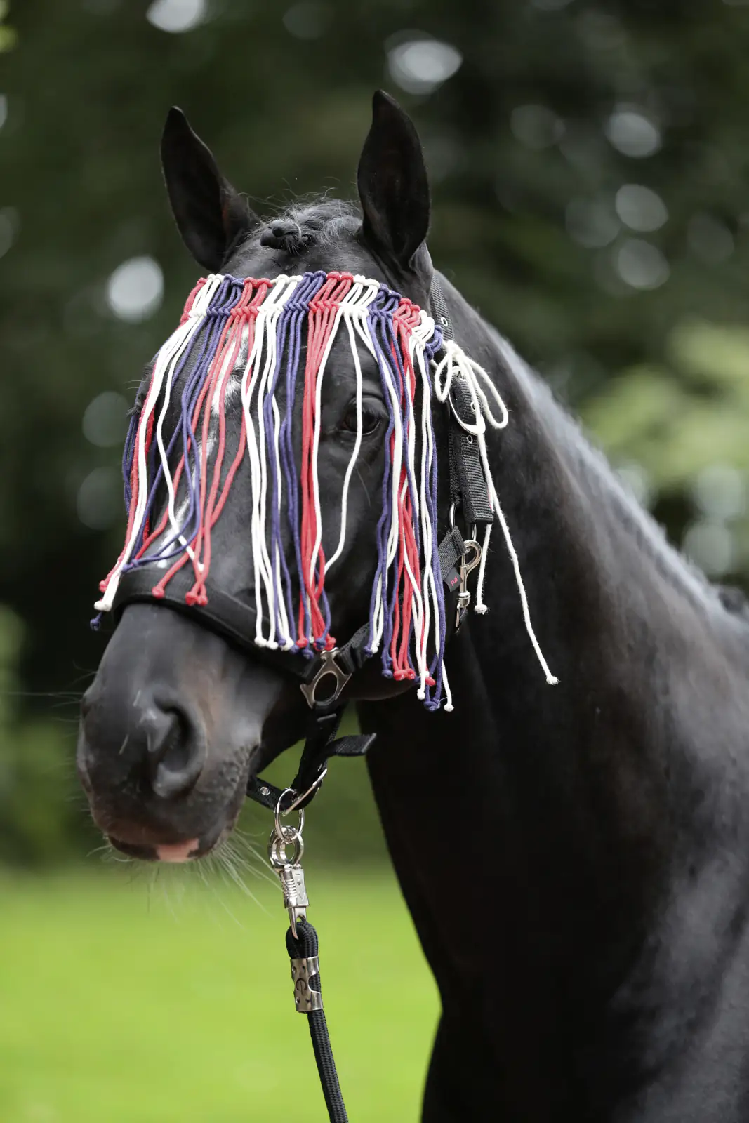 Kerbl Covalliero Fliegen Fransenband rot-blau-weiß Cob
