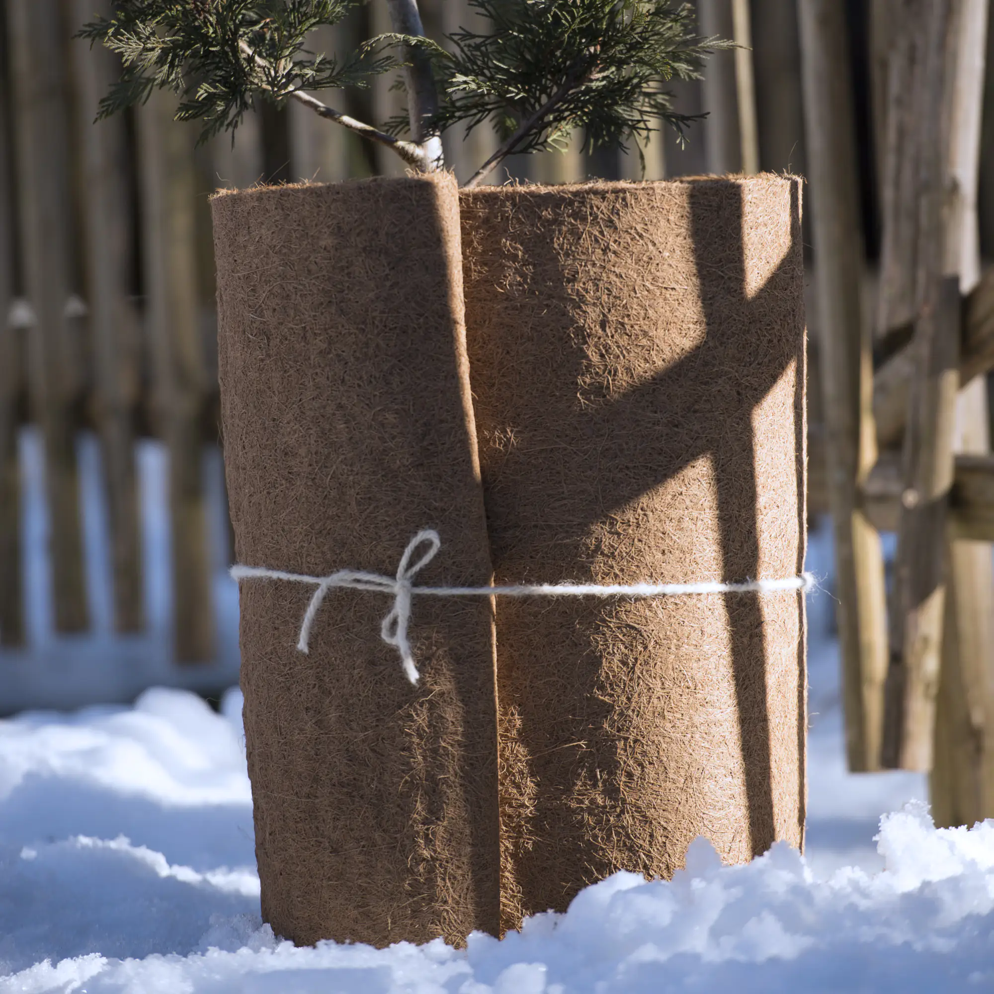 9003117065888_1 Windhager Kokos-Filzmatte 0,5 x 1,5 m