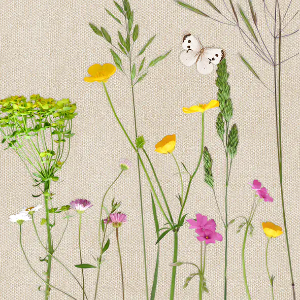 Braun & Company Servietten Motiv natur 33 x 33 cm - 20er Pack Braun & Company Servietten Motiv natur 33 x 33 cm - 20er Pack