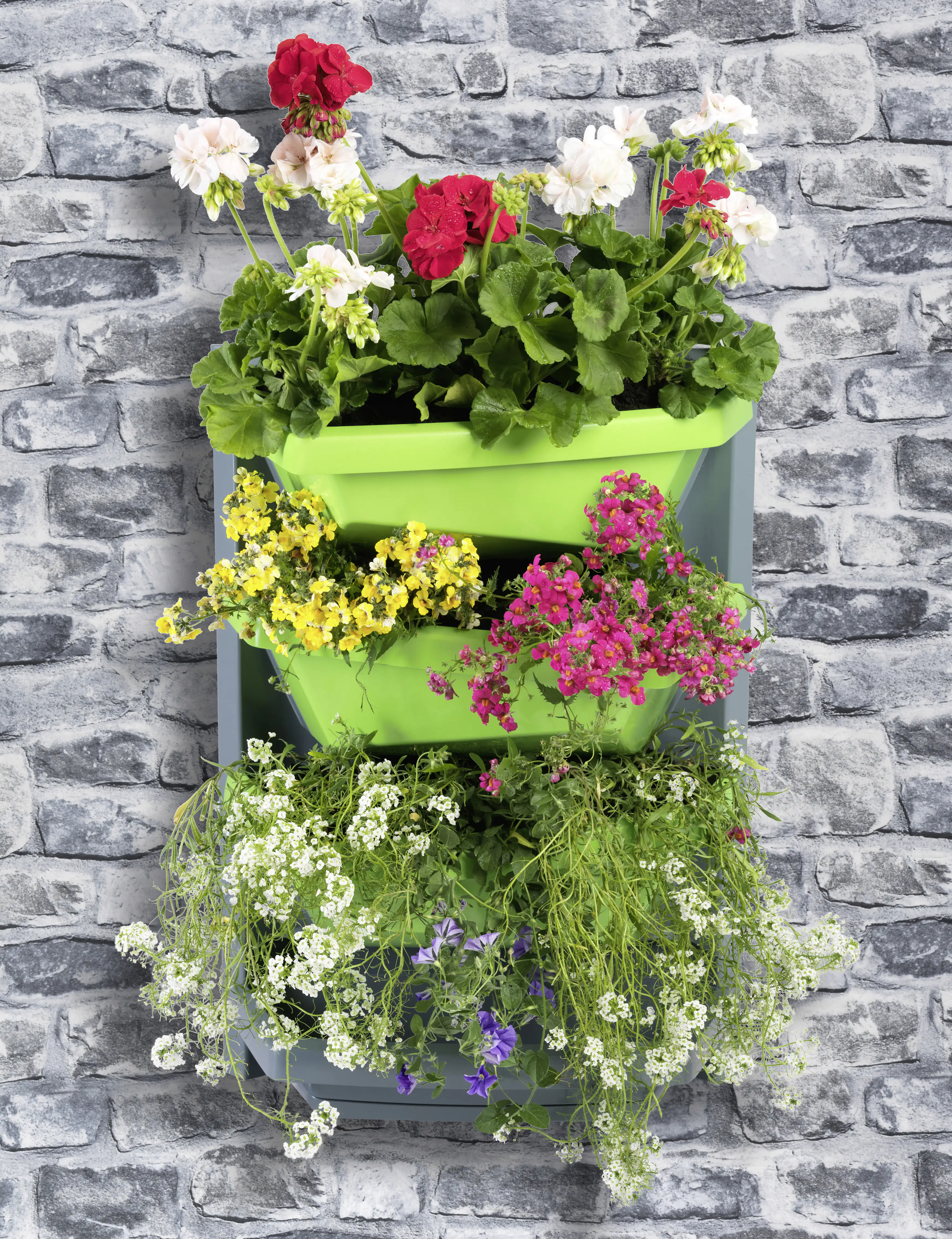9001567201306_934545 Juwel Vertical Garden Grundelement 69 x 48 x 24 cm titan-limette