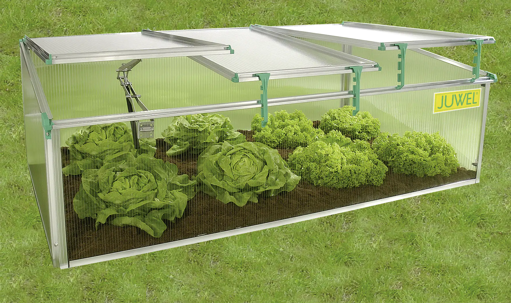 Juwel Premium Frühbeet BIOSTAR 1500 150 x 80 x 50/40 cm