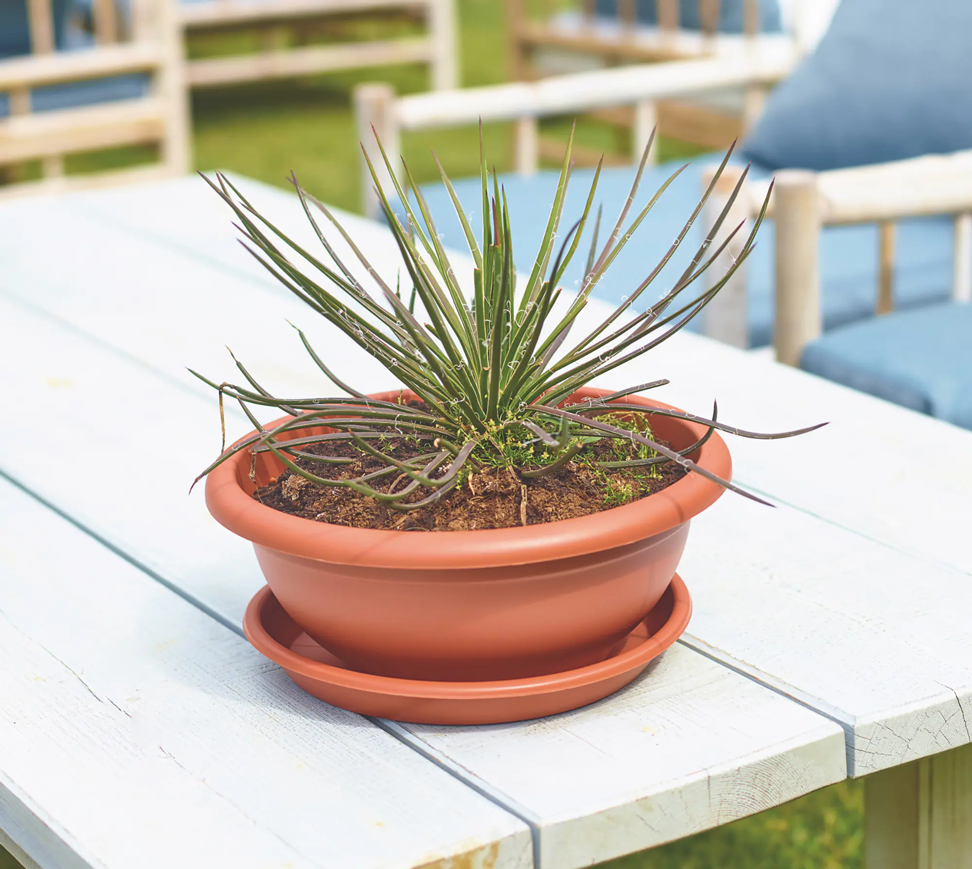 Artevasi Blumentopfuntersetzer Redondo Kunststoff rund terrakotta matt Ø 30 cm