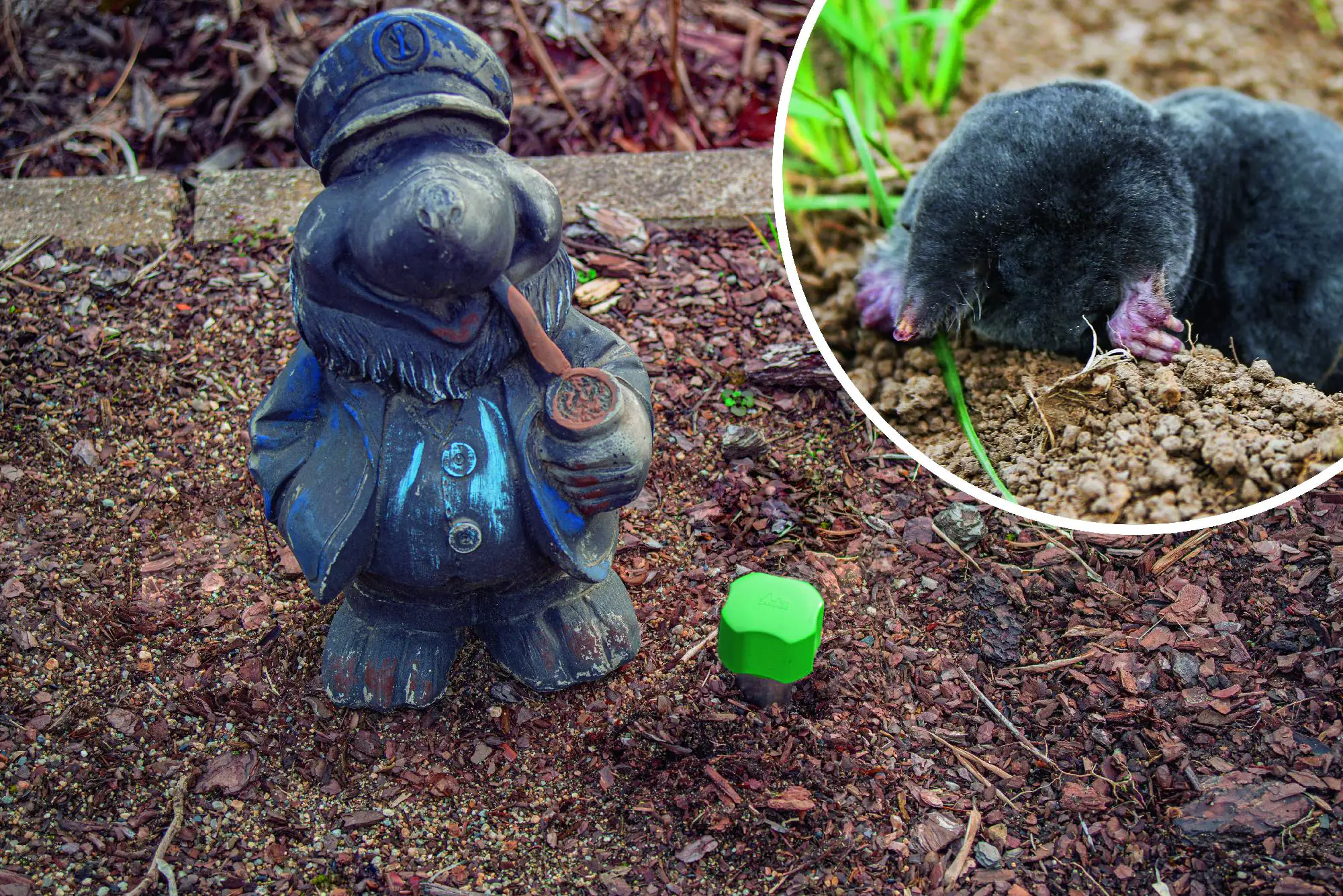 Gardigo Maulwurf-Vertreiber Mini Ganzjähriger Einsatz