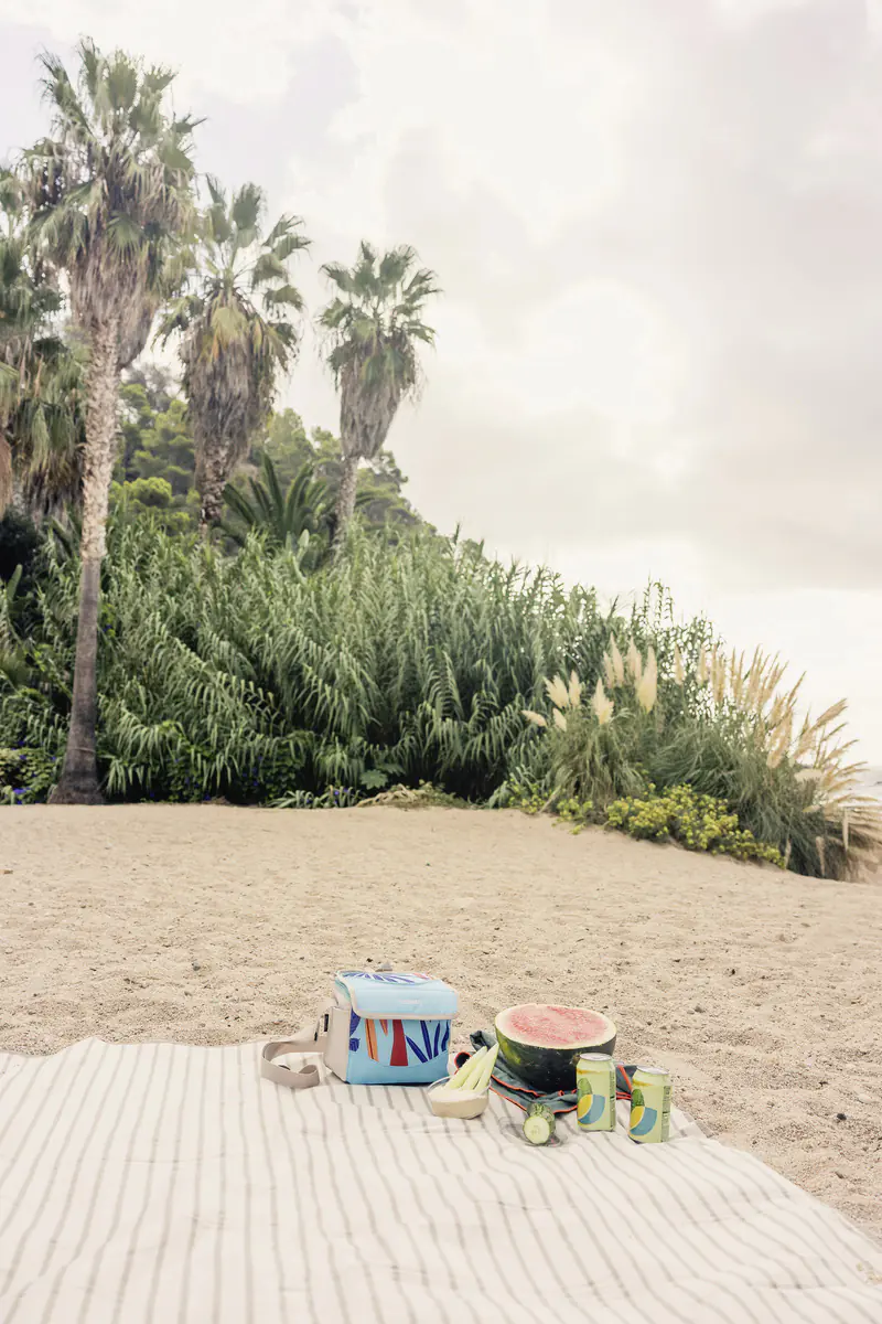 Campingaz Kühltasche Ethnic Minimaxi 4 L