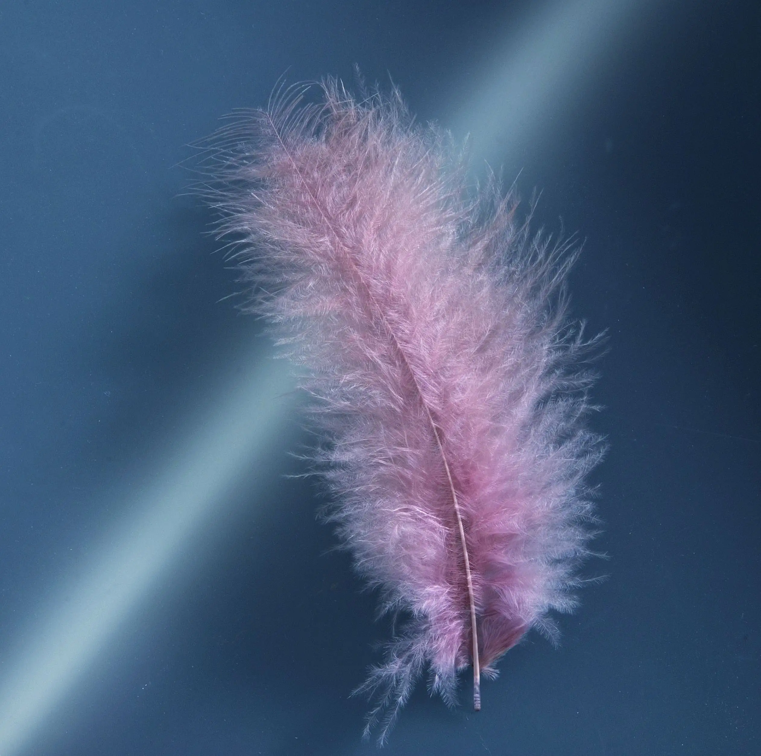 Glorex Marabufedern natur ca. 15 Stück