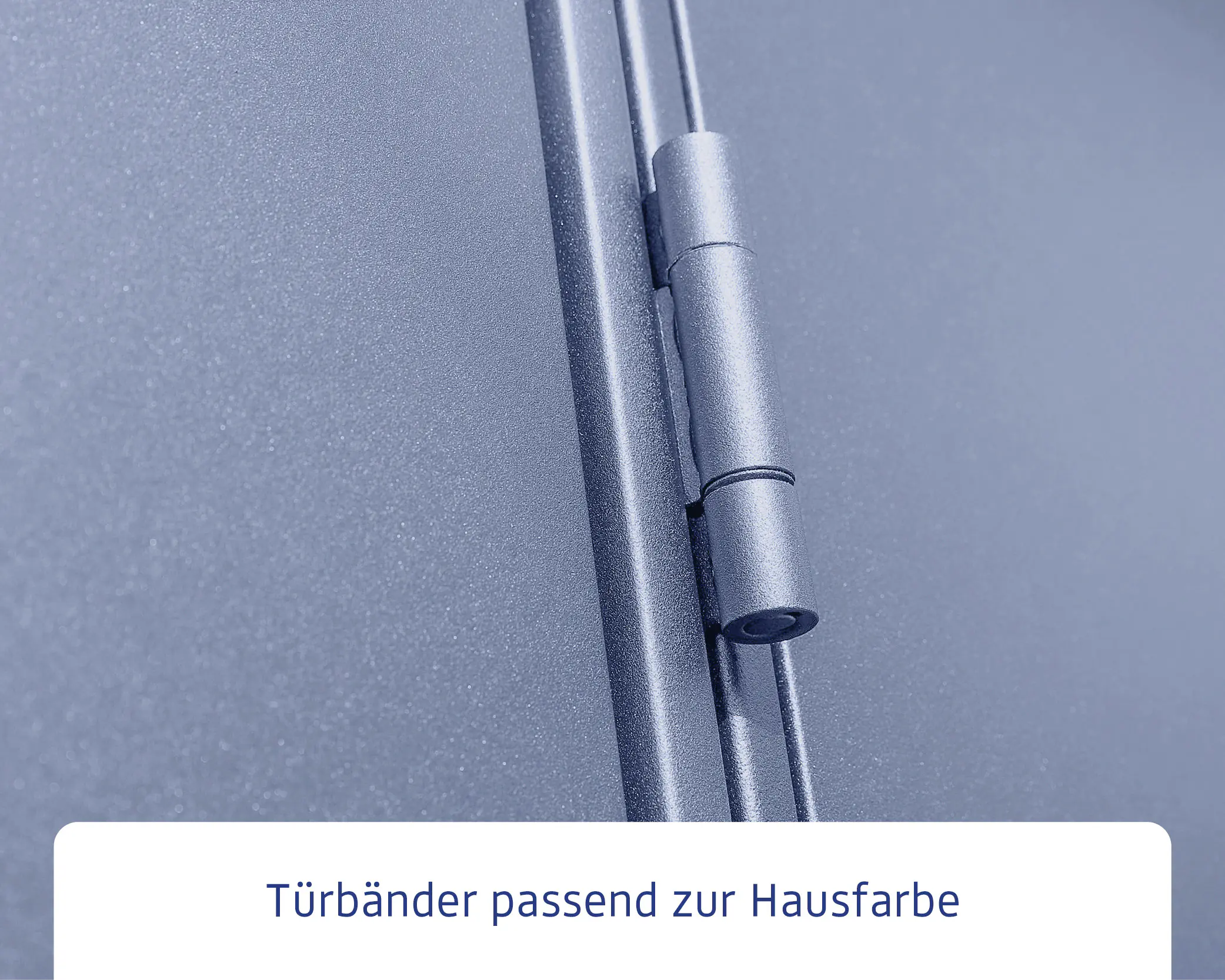 EcoStar Gerätehaus Elegant-P Typ 3 taubenblau 312,7 x 283,4 x 232,3 cm